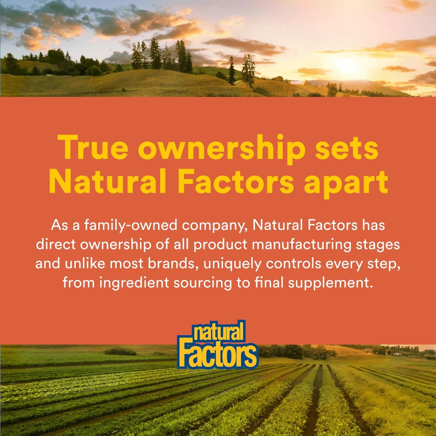 Natural Factors Joint MSM Formula – Supports Joints, Muscles & Cartilage (90 Capsules)