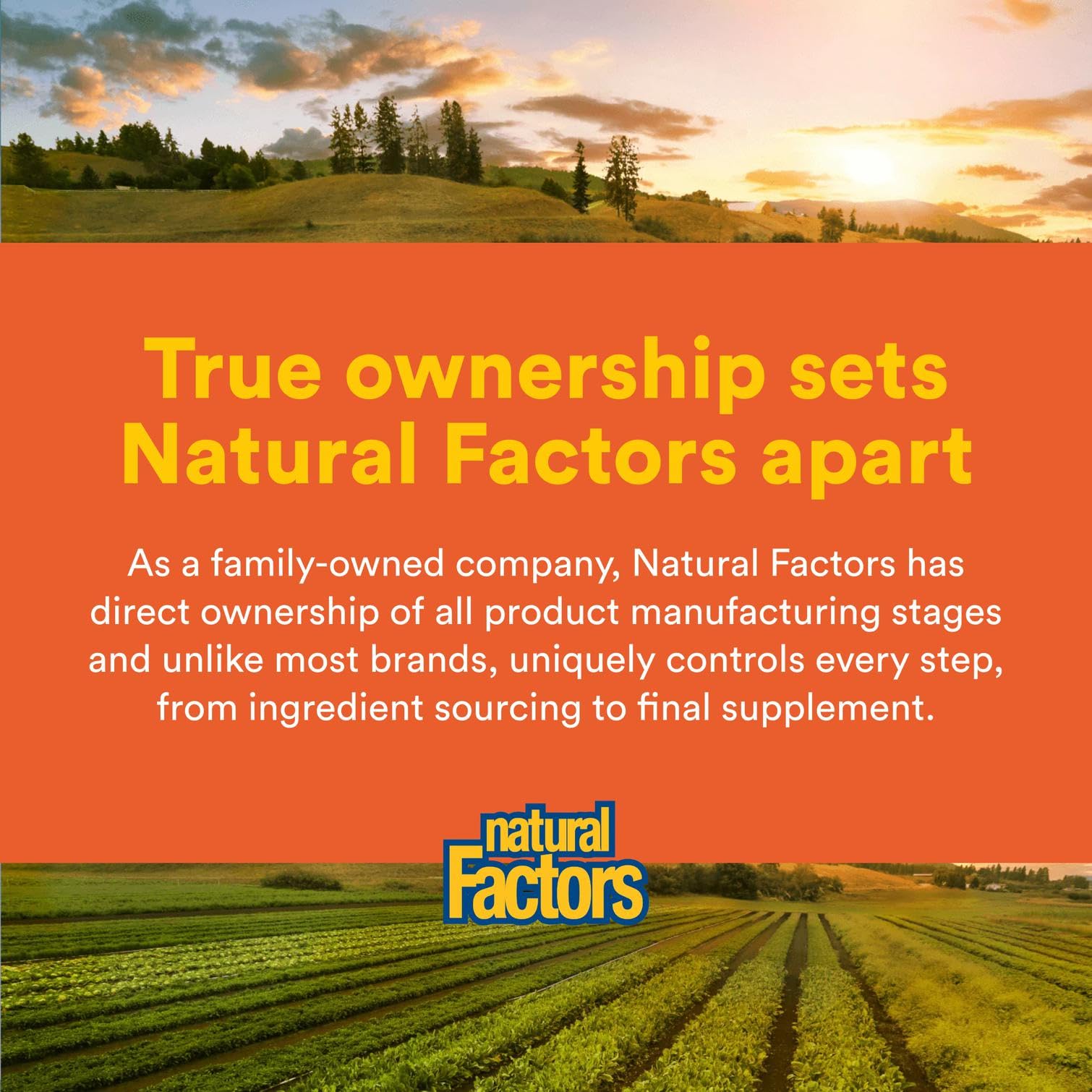 Natural Factors Liposomal Vitamin C, 60 Softgels – High-Absorption Vitamin C