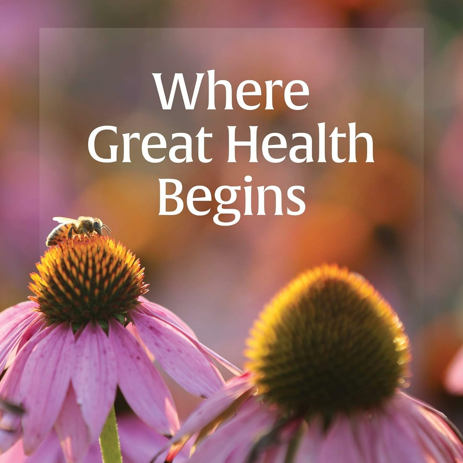 Natural Factors Anti-V Liquid Formula Echinacea Supplement for Immune & Wellness Support – Organic, Non-GMO, 3.4 oz (100 Servings)