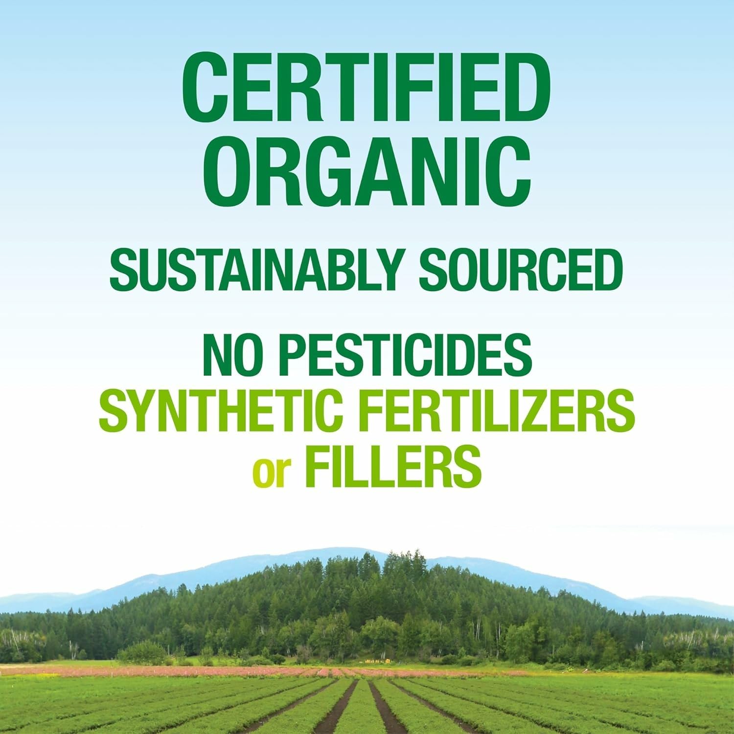 Natural Factors Whole Earth & Sea Organic Fermented Greens Chocolate – Vegan, 15.5 oz