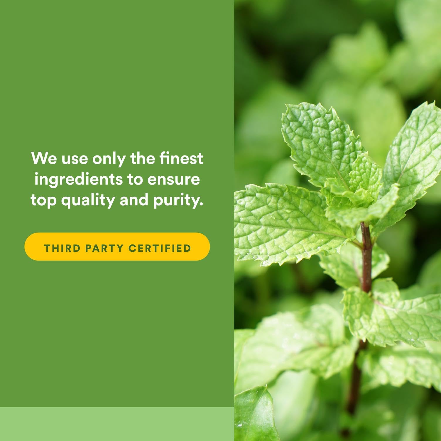 Natural Factors Peppermint & Oregano Oil Complex Digestive Aid – 60 Softgels