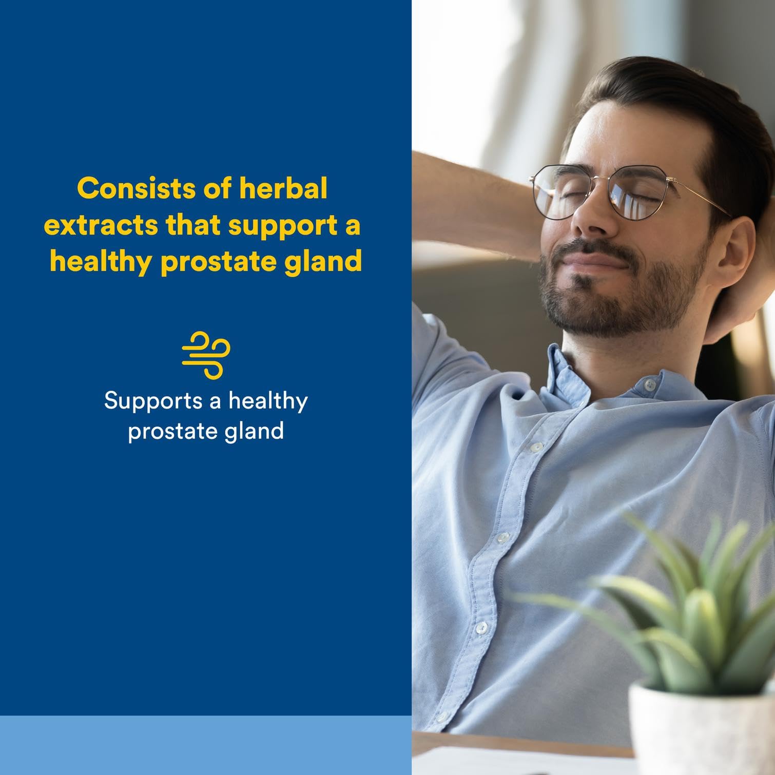 Natural Factors Prostate Health Formula – Saw Palmetto & Turmeric (60 Softgels)