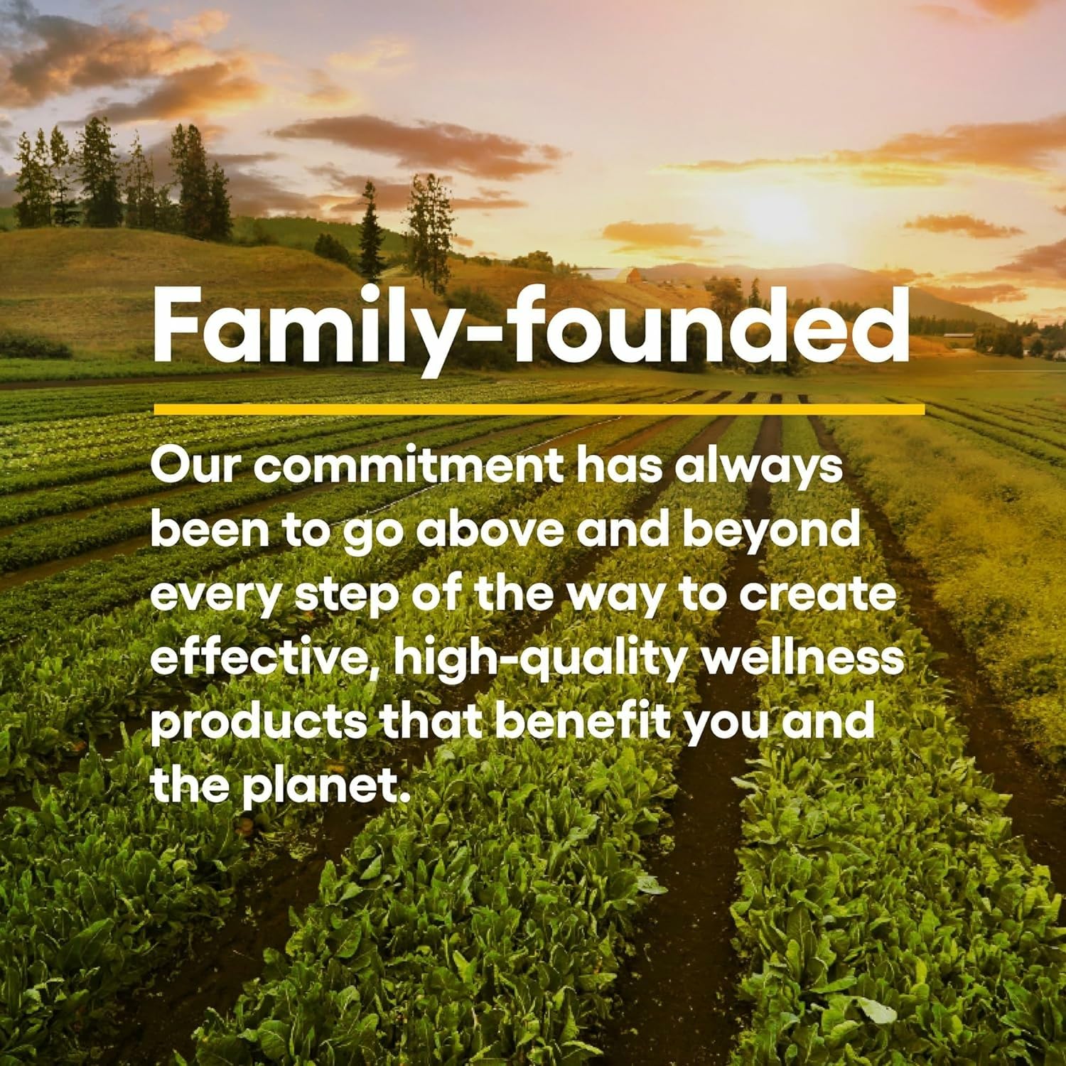 Natural Factors Quercetin Lipomicel Matrix — Immune & Capillary Support