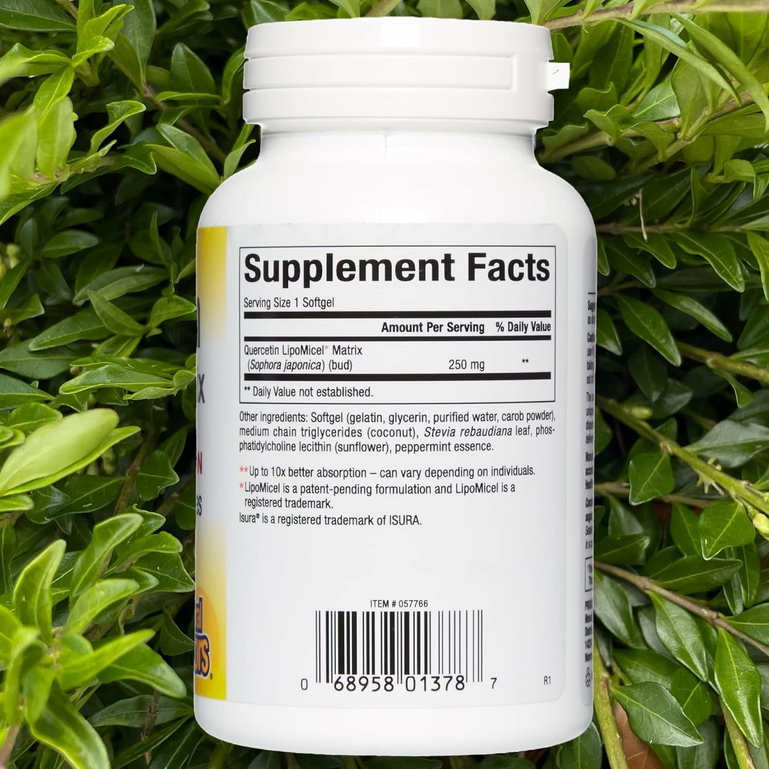 Natural Factors Quercetin LipoMicel Matrix Gel - 60 Count