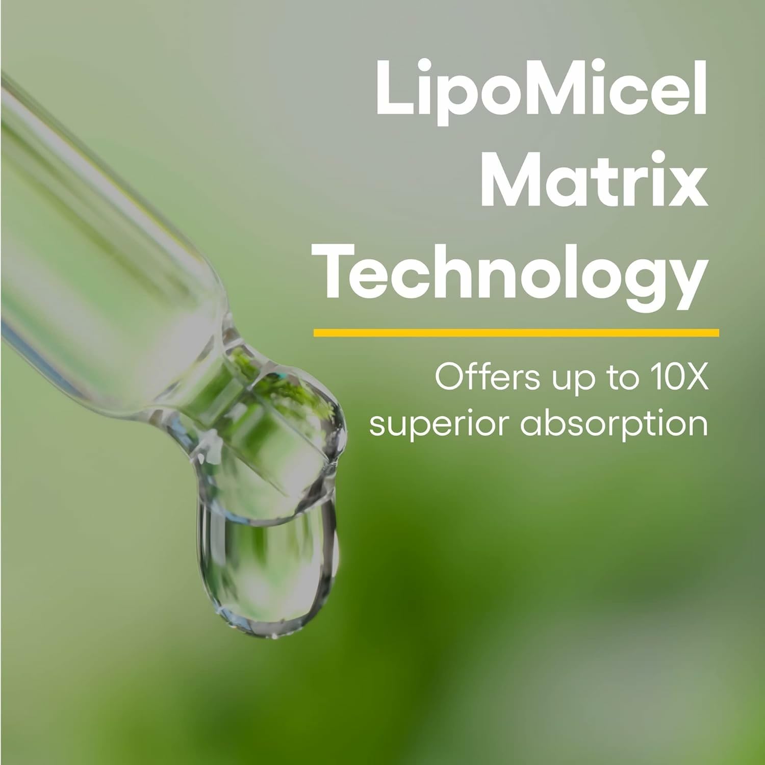 Natural Factors Quercetin LipoMicel Matrix Gel - 60 Count
