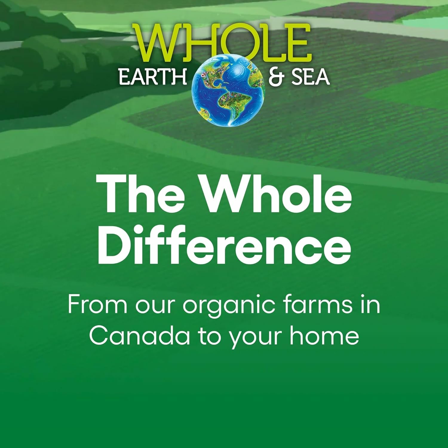 Natural Factors Men's 50+ Multivitamin & Mineral – 60 Count (Pack of 1) | ½ lb Veggies Nutrition