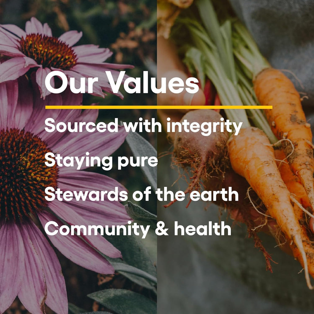 Natural Factors Whole Earth & Sea Women's Multivitamin & Mineral – Vegan, 120 Tablets