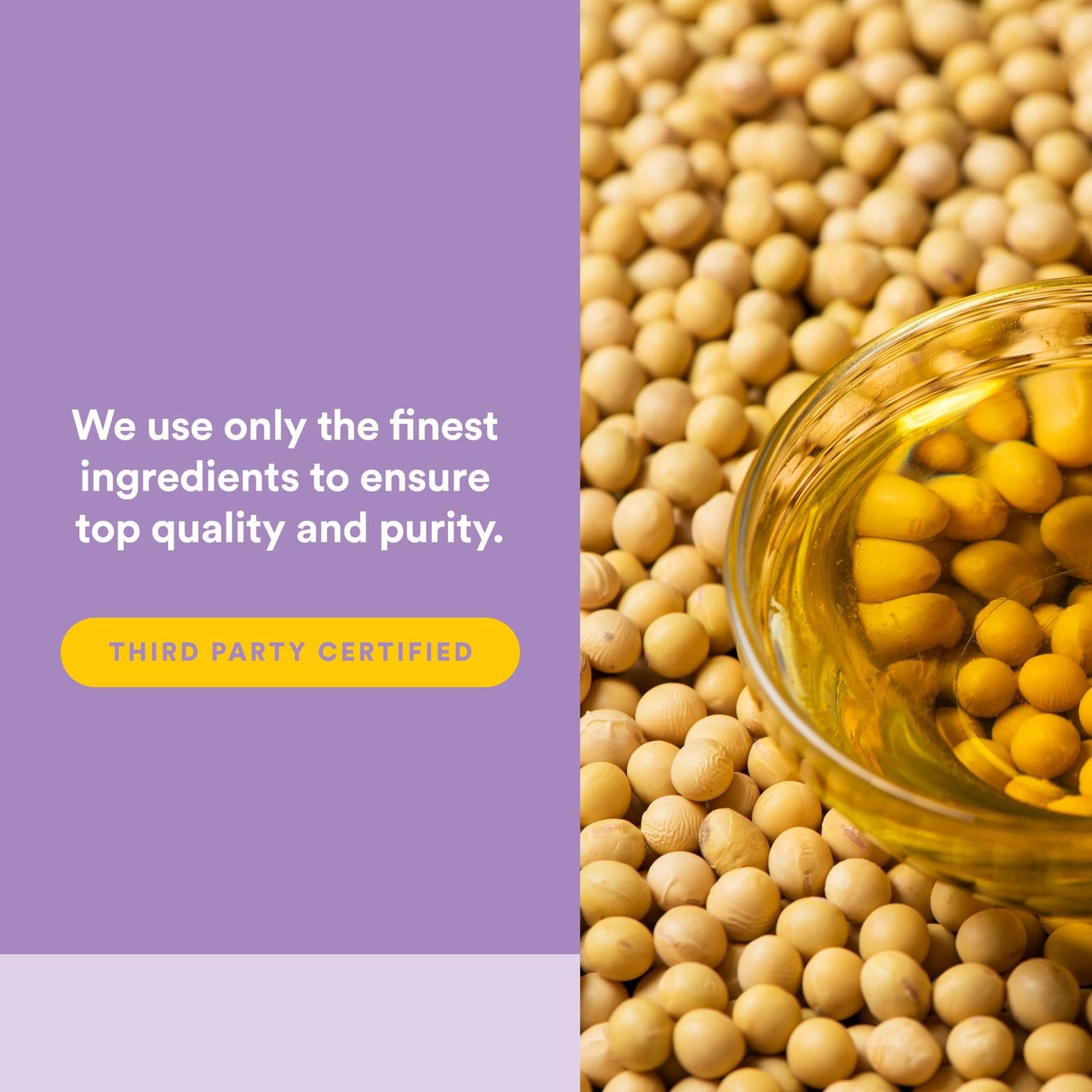 Natural Factors Vitamin E 400 IU Softgels – Antioxidant Support & Heart Health | 240 Softgels