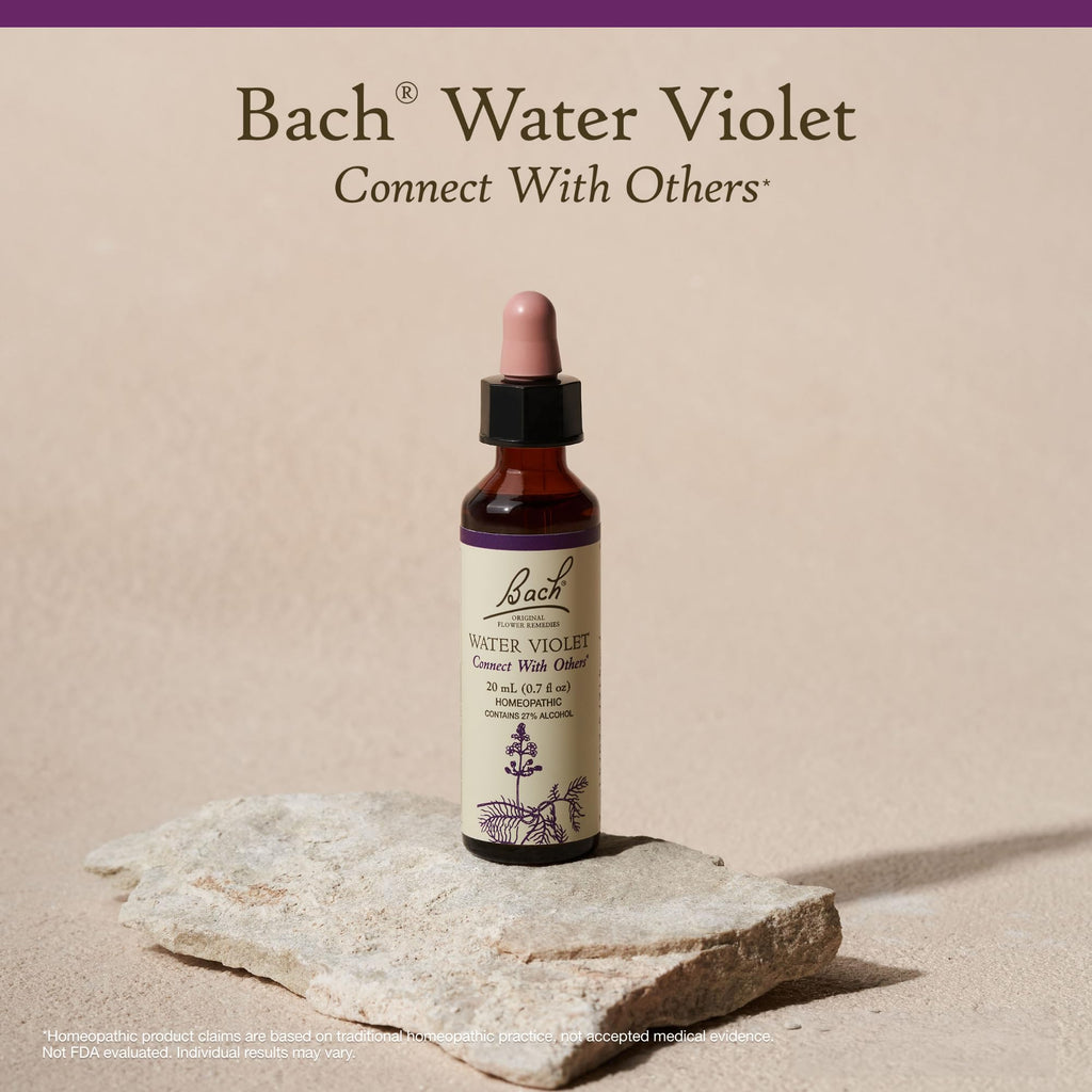 Bach Water Violet Flower Remedy – Connect with Others | 20mL Dropper