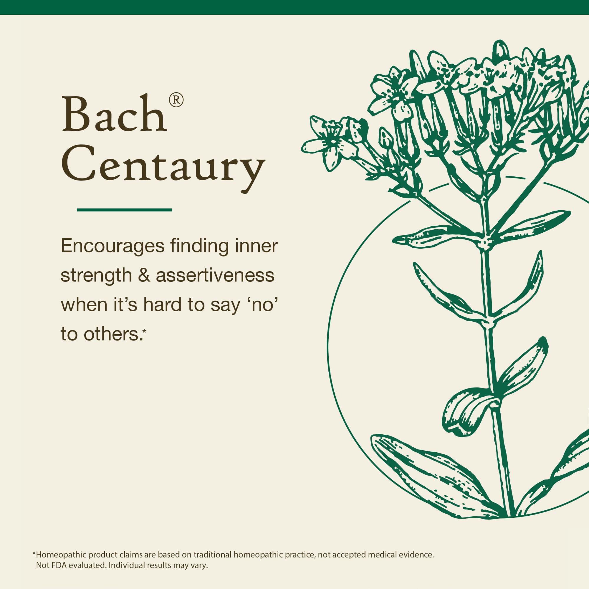 Centaury (Non-Alcohol Formula) | Bach Original Flower Remedies – Be Assertive | 10mL Dropper