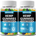Natural Hemp Gummies – High Potency for Pain, Sleep & Anxiety (2-Pack)