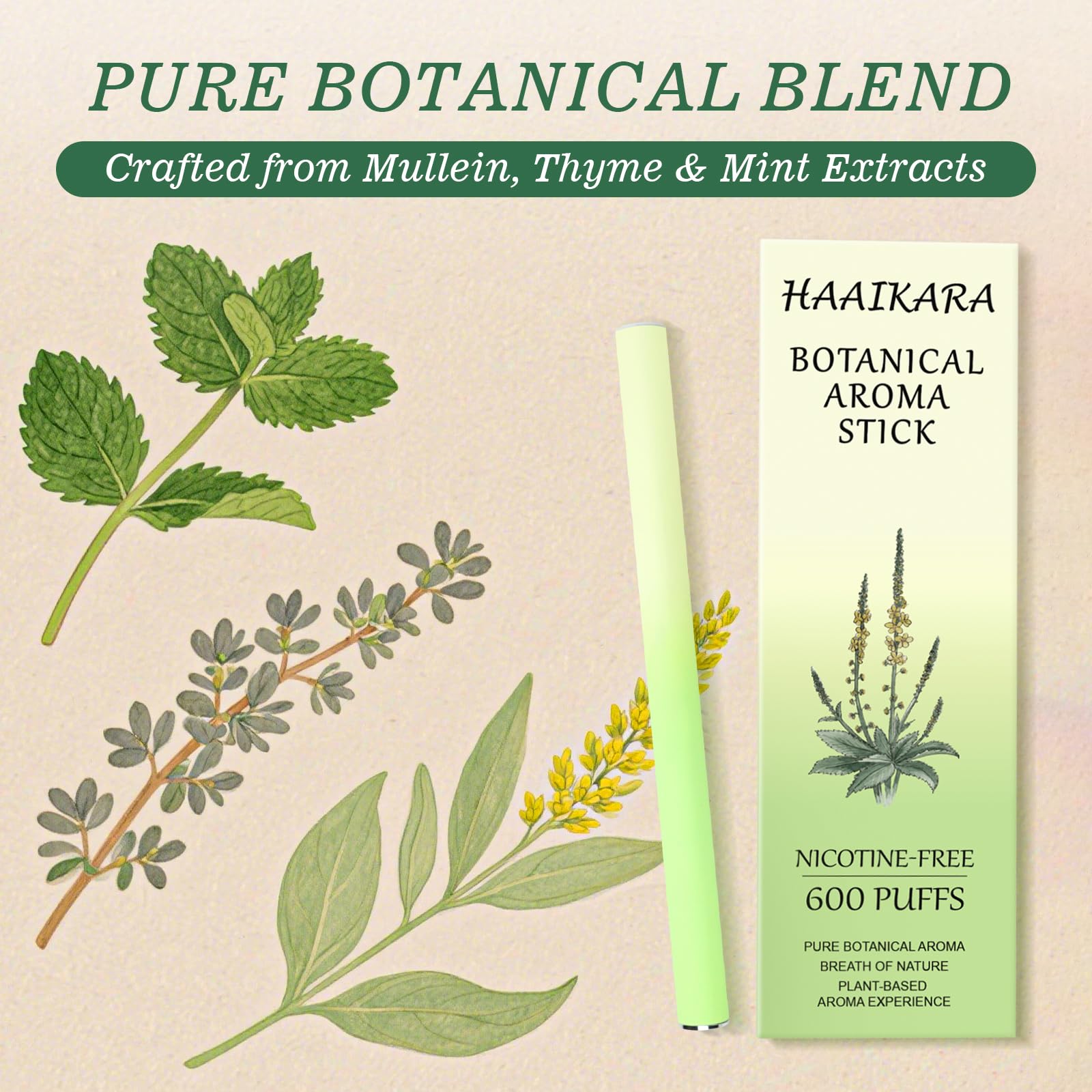 Natural Mullein Herbal Diffuser – Mint & Thyme, Nicotine-Free