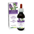Naturalma Alfalfa (Lucerne) Tincture – Alcohol-Free Liquid Extract, 4 fl oz Drops – Vegan