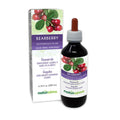 Naturalma Bearberry Leaf Tincture (Arctostaphylos uva-ursi) Alcohol-Free - 6.76 fl oz Drops | Vegan Herbal Supplement