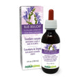 Naturalma Blue Skullcap Liquid Extract (1:10) – Alcohol-Free, Vegan, 4 fl oz