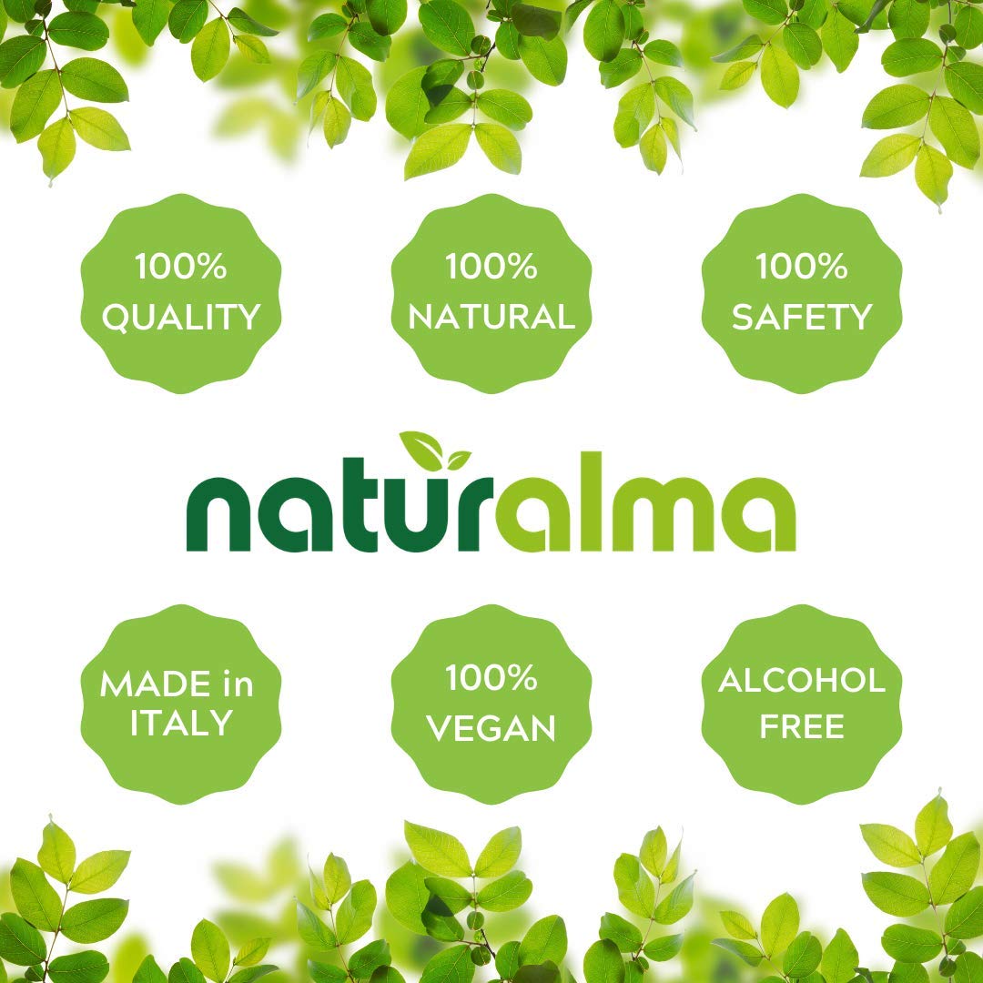 Naturalma Chaga Alcohol-Free Tincture – 4 fl oz Drops | Vegan