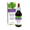 Naturalma Gotu Kola Tincture 4 oz – Alcohol-Free, Vegan Liquid Extract
