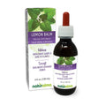 Naturalma Lemon Balm Tincture – Alcohol-Free Liquid Extract (4 fl oz) | Vegan Melissa officinalis
