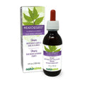 Naturalma Meadowsweet Flower Tincture - Alcohol-Free 4 oz Drops | Vegan