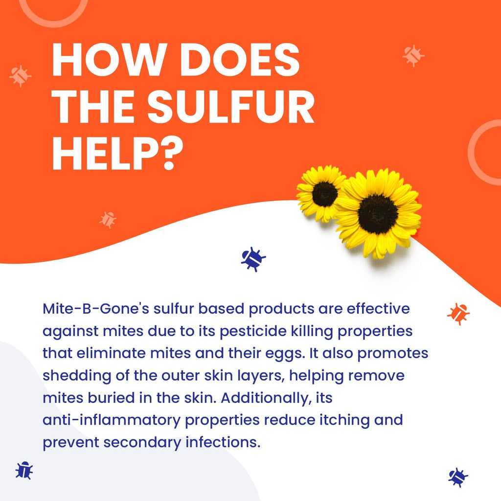 Naturasil Mite-B-Gone — Natural 10% Sulfur Lotion + Soaps for Itch Relief (All Ages)