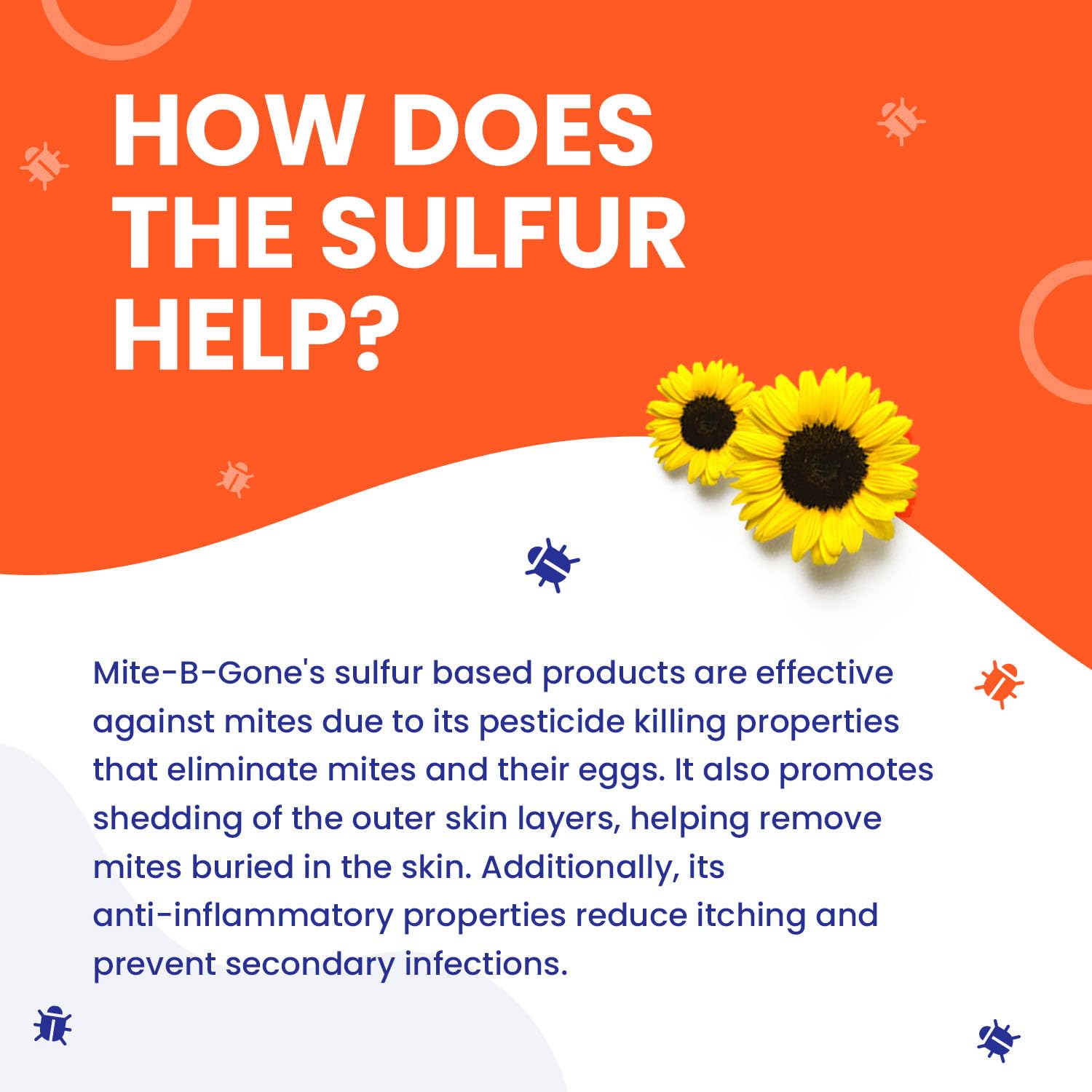 Naturasil Mite-B-Gone — Natural 10% Sulfur Lotion + Soaps for Itch Relief (All Ages)