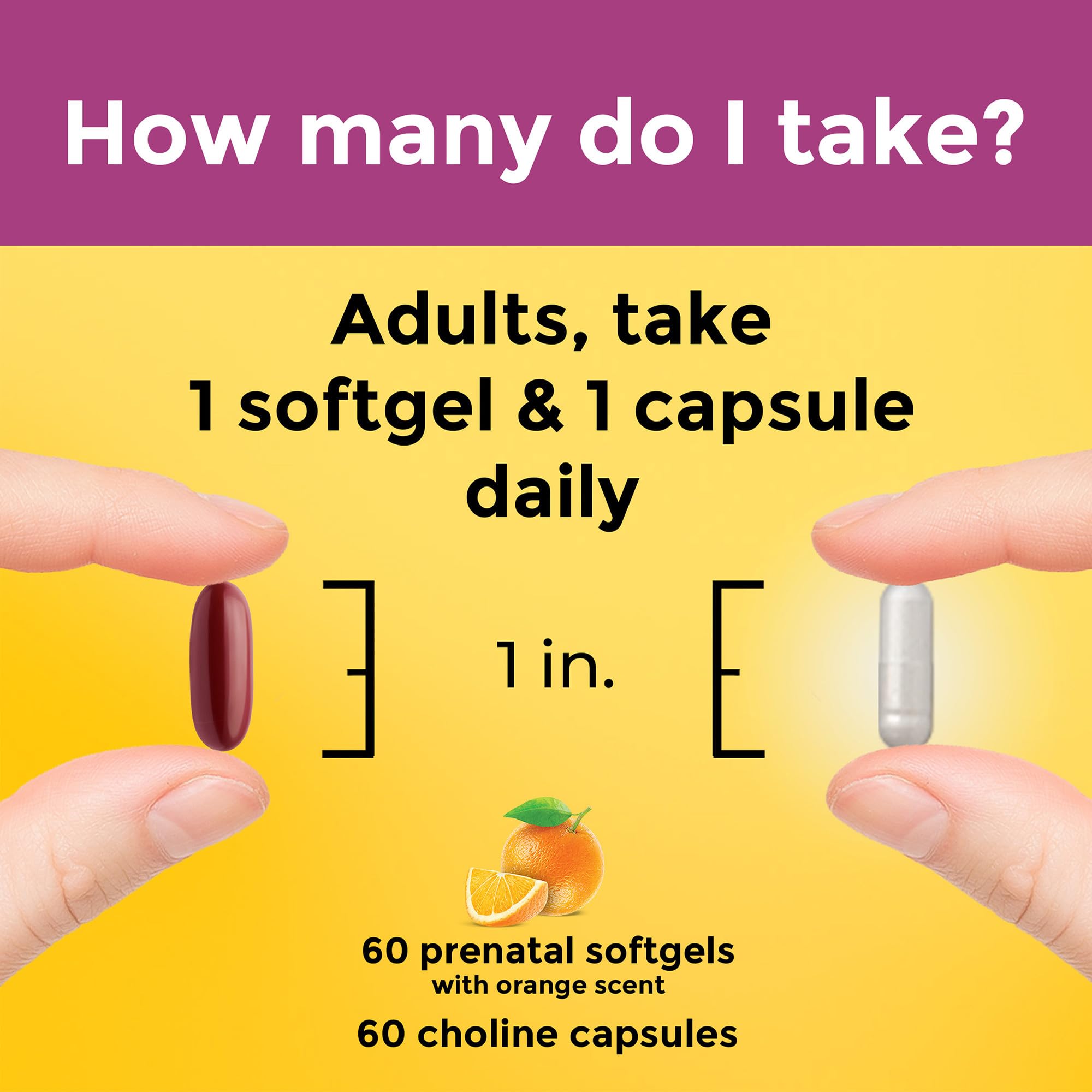 Nature Made Prenatal Vitamin Softgels + Choline Capsules – 60 Day Supply, Folic Acid + DHA