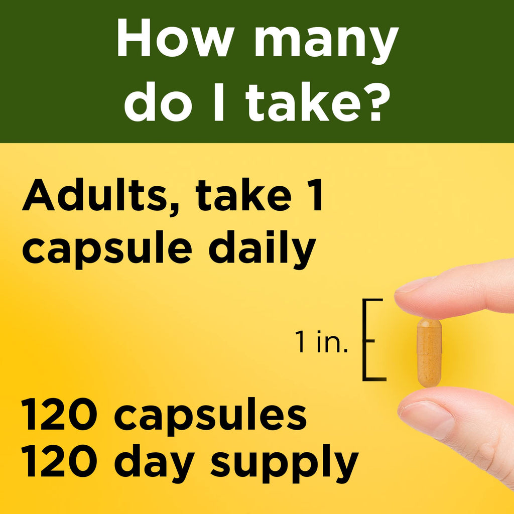 Nature Made Turmeric Curcumin 500 mg – Antioxidant Support, 120 Capsules
