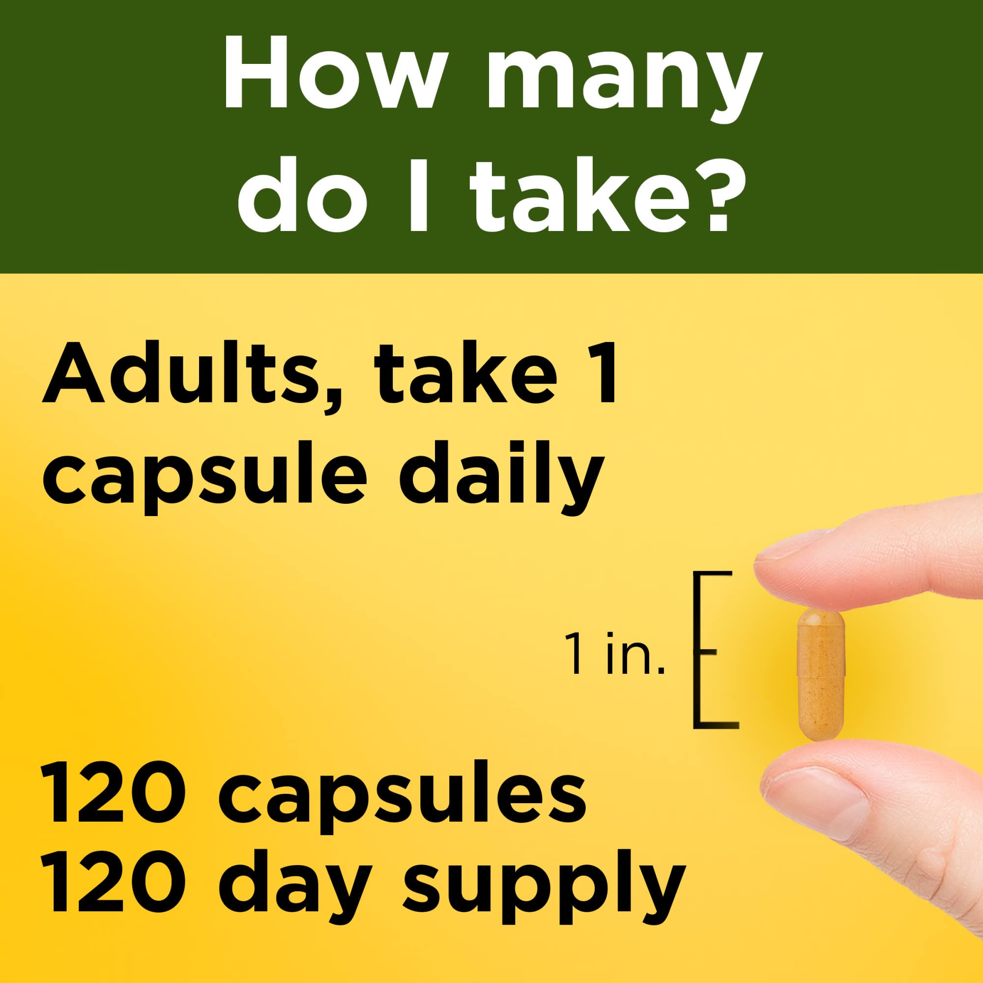 Nature Made Turmeric Curcumin 500 mg – Antioxidant Support, 120 Capsules