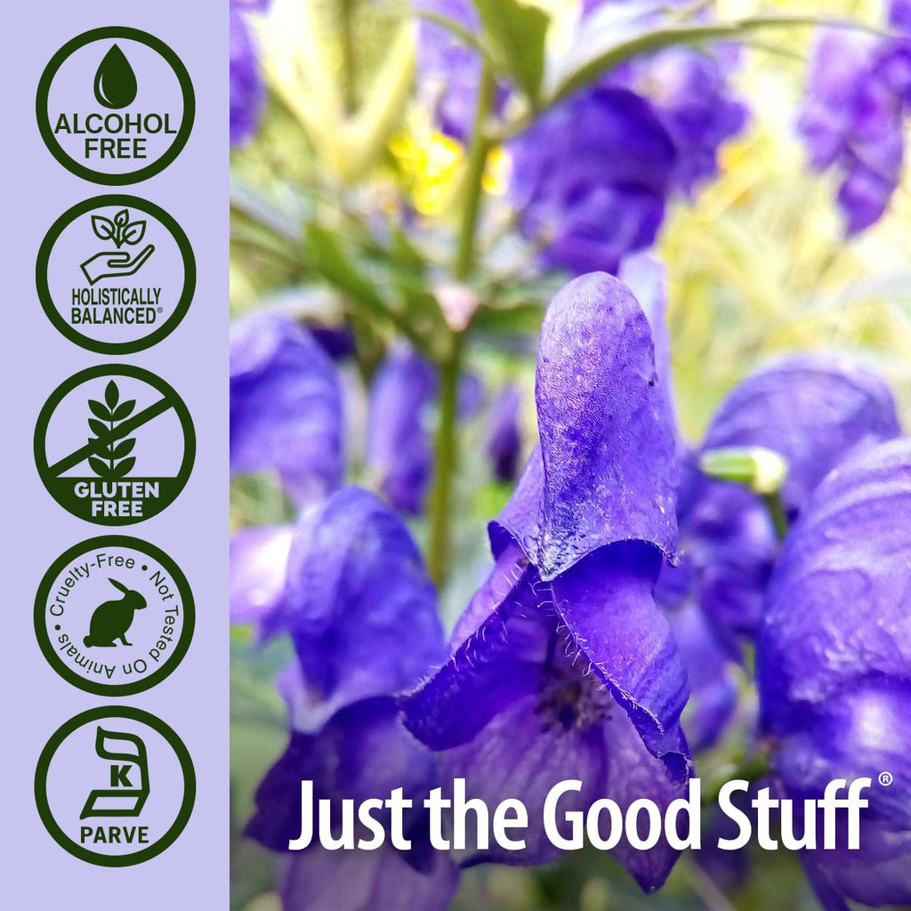 Nature's Answer Alcohol-Free Skullcap Herb - 1-Fluid Ounce