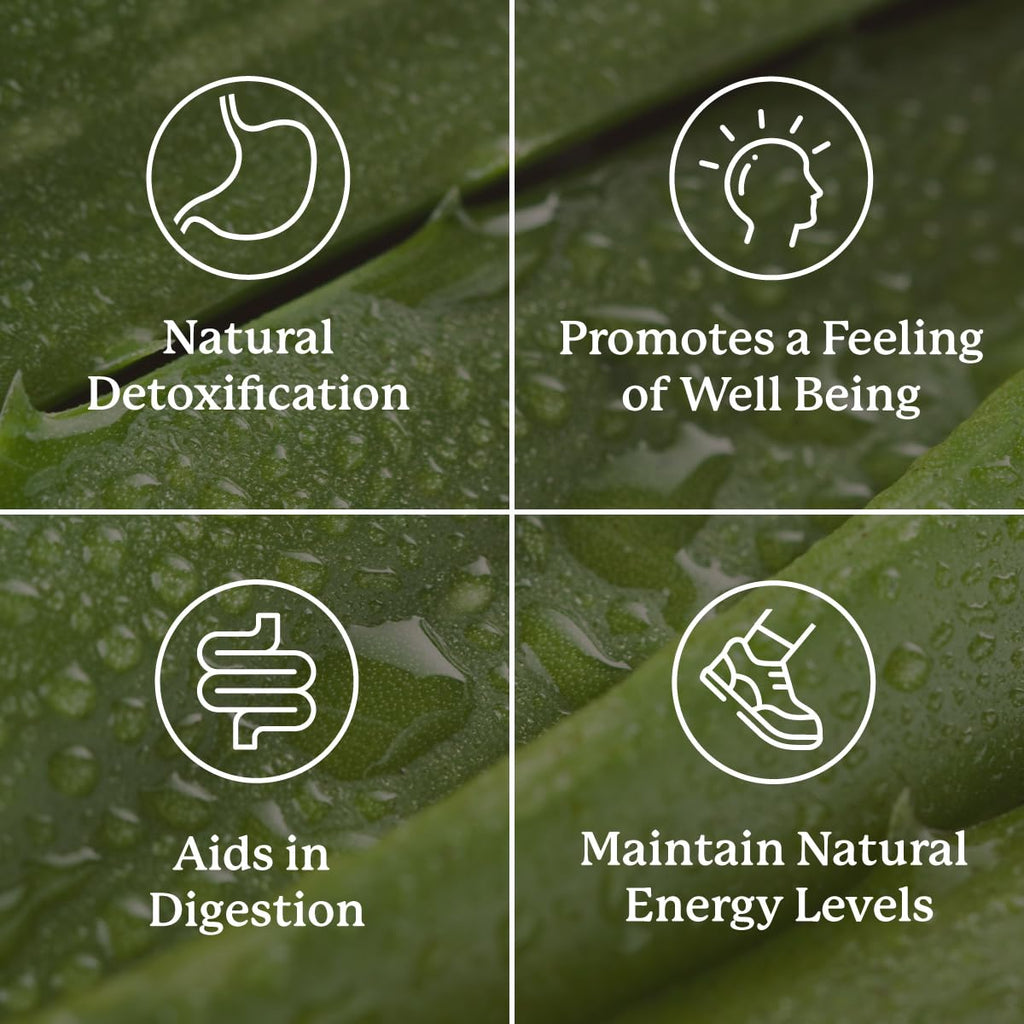 Nature's Sunshine Lower Bowel Stimulator - Gentle Herbal Support for Digestive Comfort | 100 Vegcaps