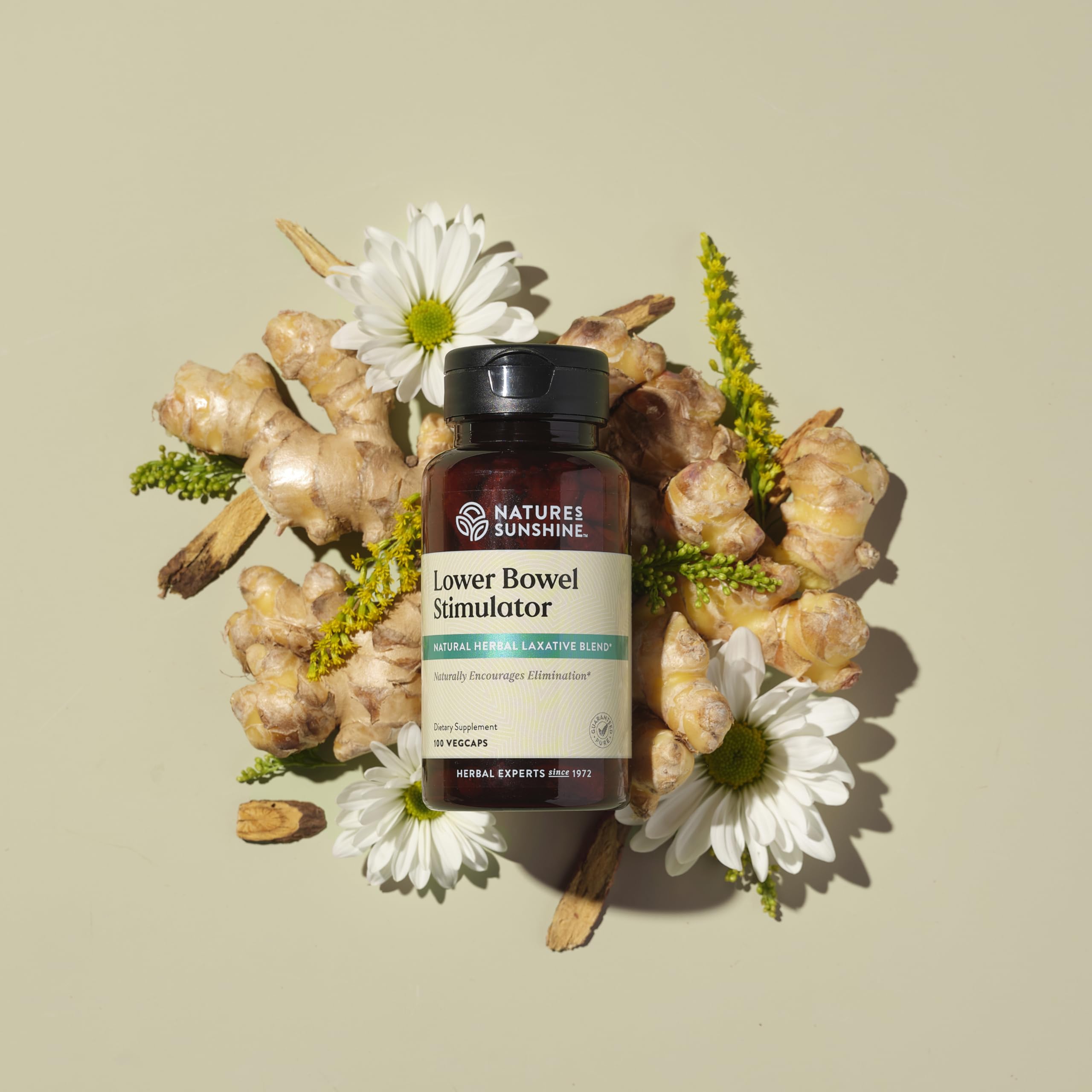 Nature's Sunshine Lower Bowel Stimulator - Gentle Herbal Support for Digestive Comfort | 100 Vegcaps