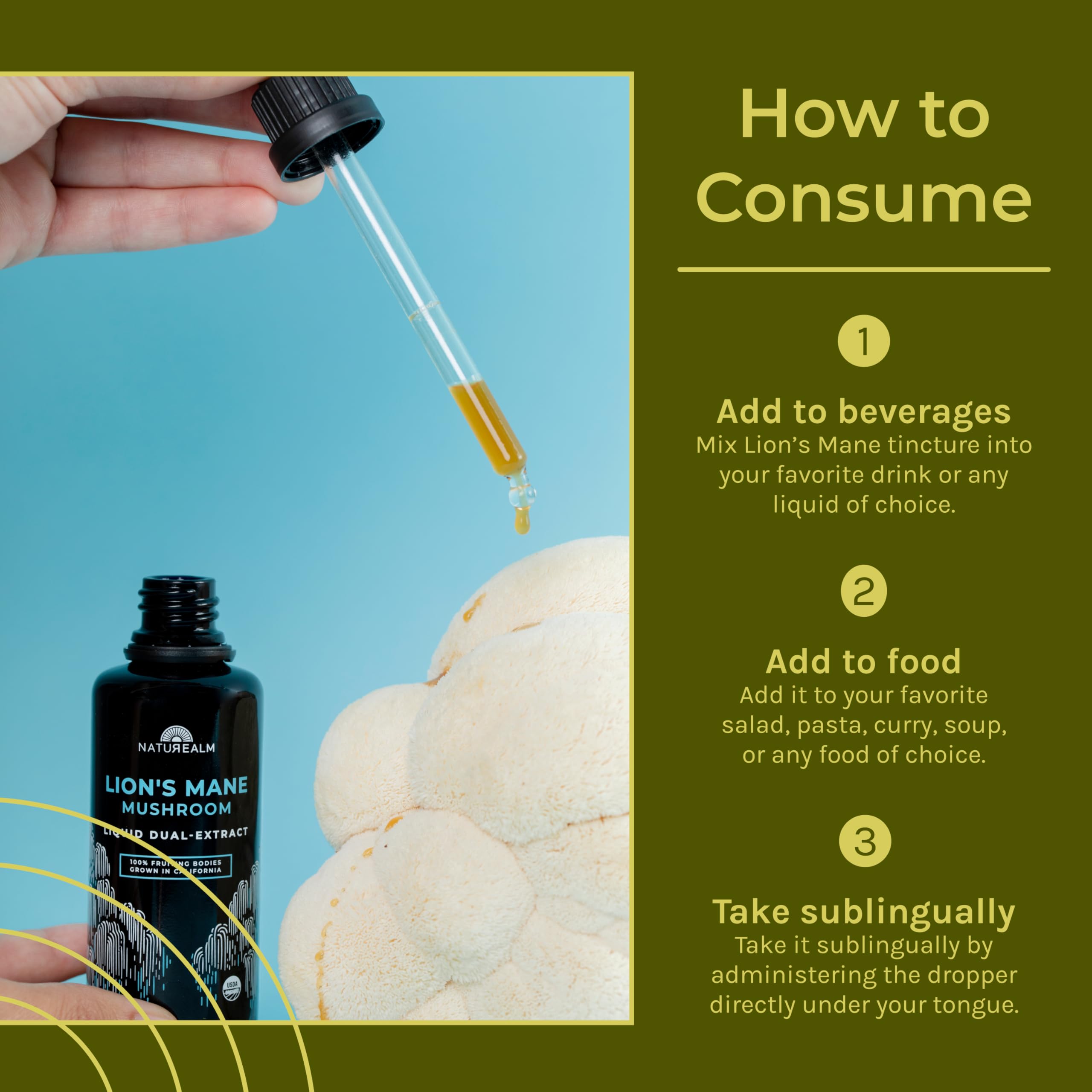 Naturealm Lion's Mane Mushroom Liquid Tincture – Focus, Memory & Brain Health | Vegan, Non-GMO