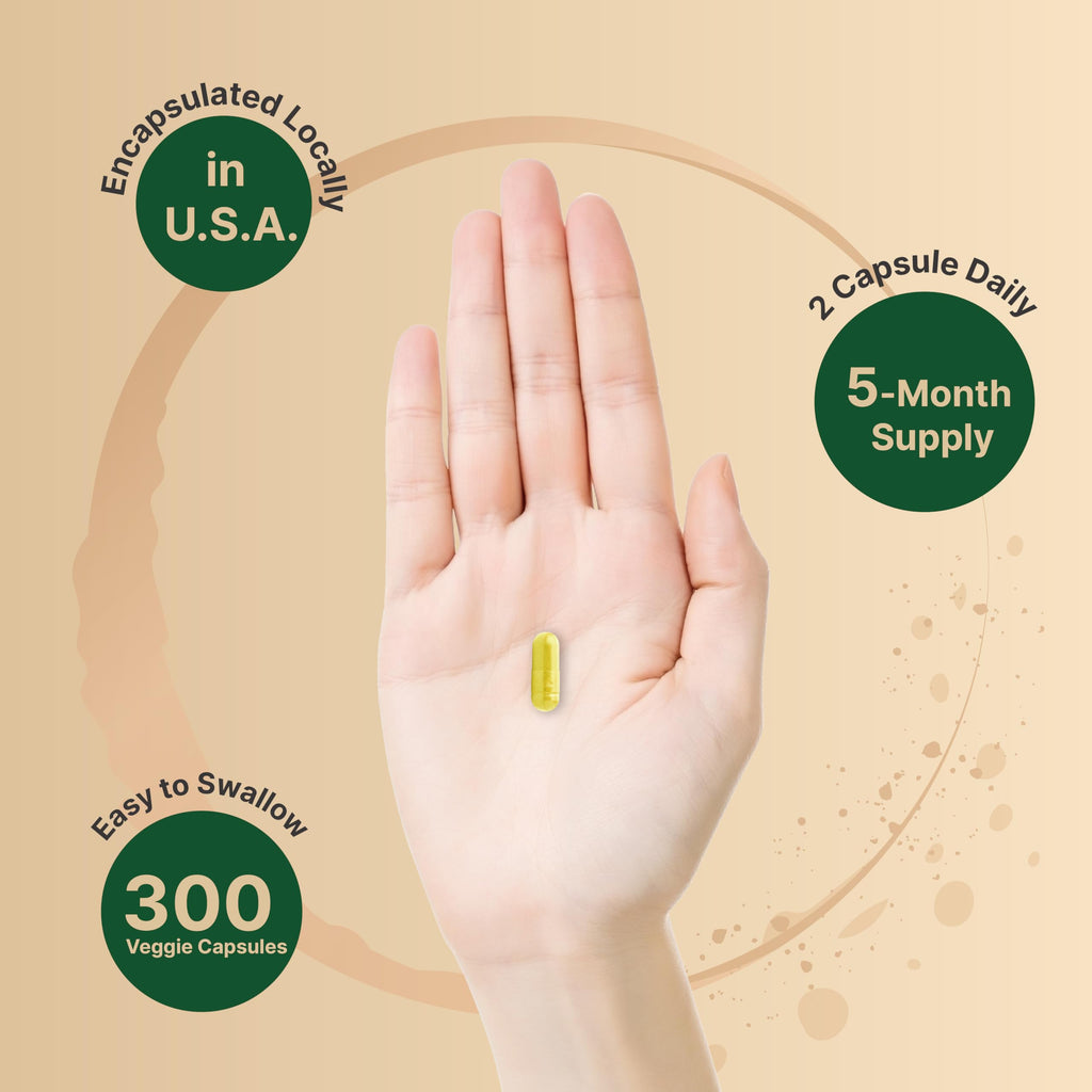NatureBell Berberine 500mg – 300 Veggie Capsules | 5:1 Root Extract, Plant Based