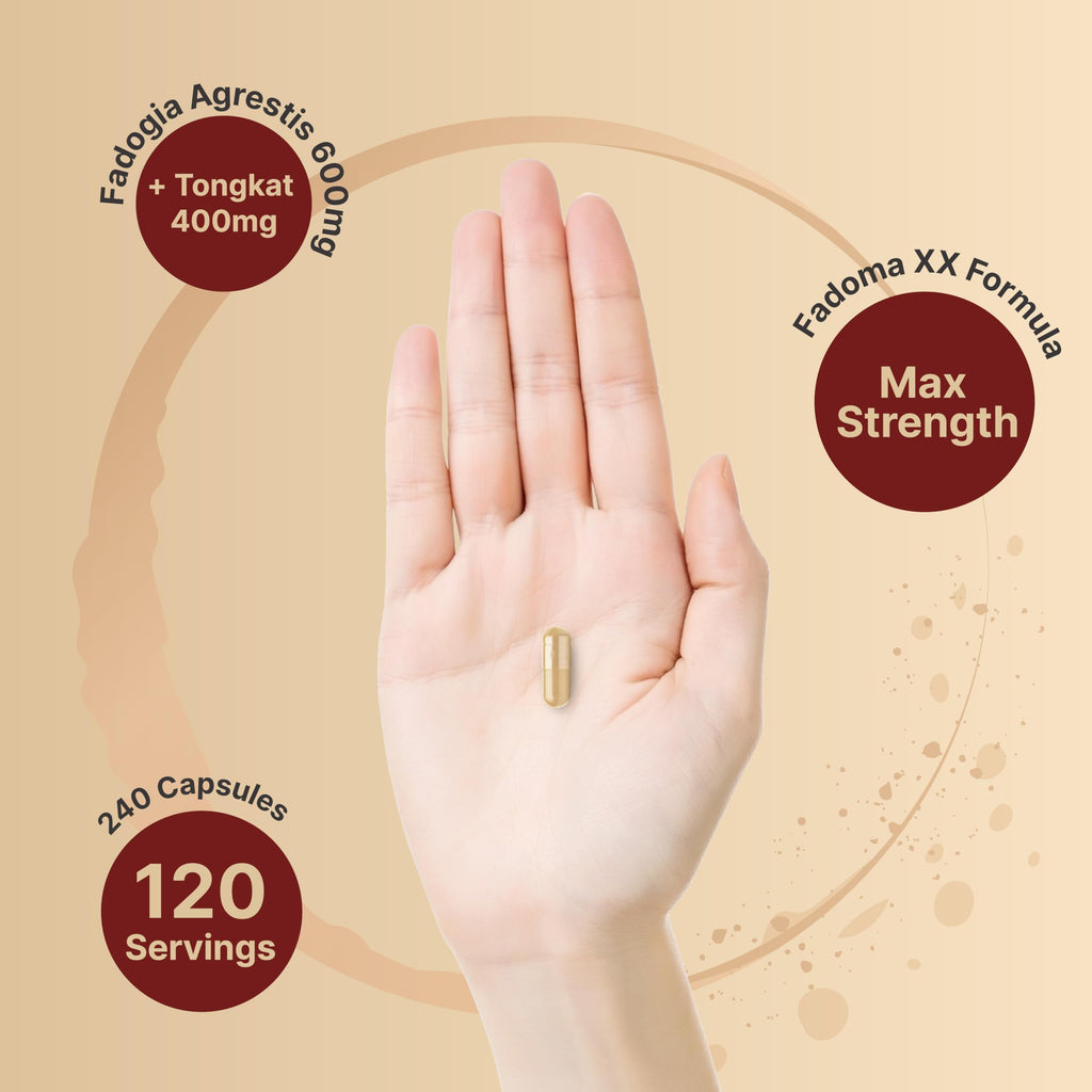 NatureBell Fadogia Agrestis 600mg + Tongkat Ali 400mg | 240 Caps | 20:1 & 200:1 Extracts | Non-GMO