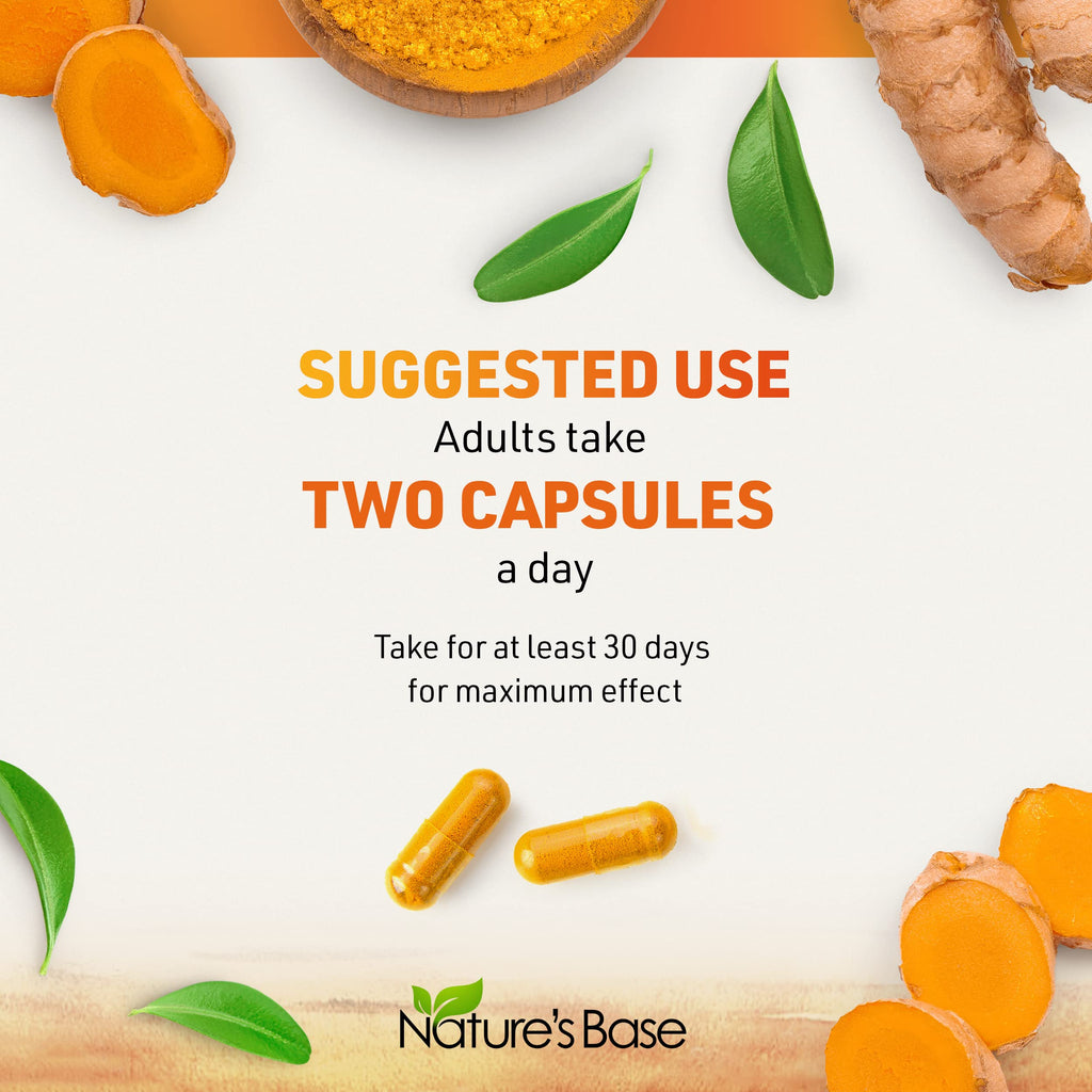 Nature's Base Turmeric & Ginger Supplement – 95% Curcuminoids, 120 Caps