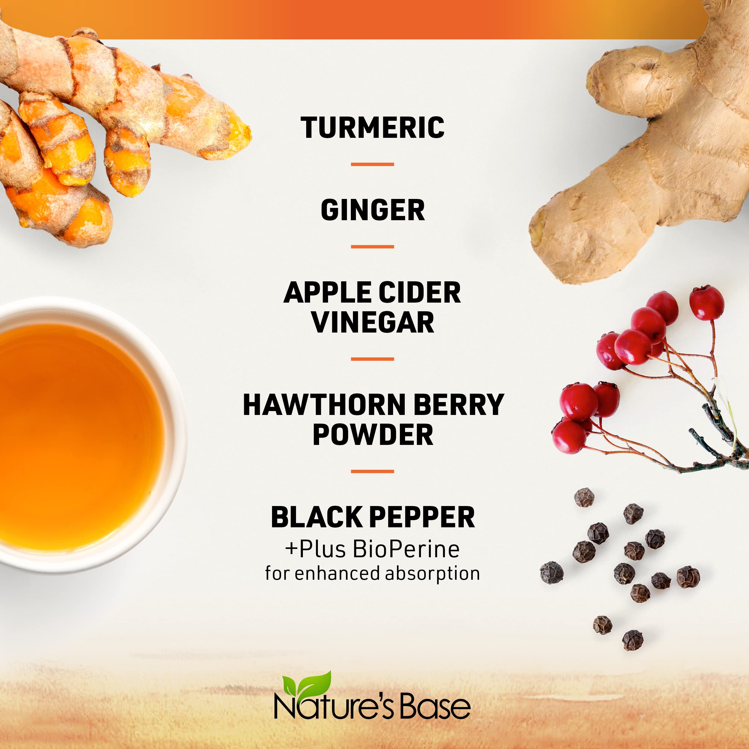 Nature's Base Turmeric & Ginger Supplement – 95% Curcuminoids, 120 Caps