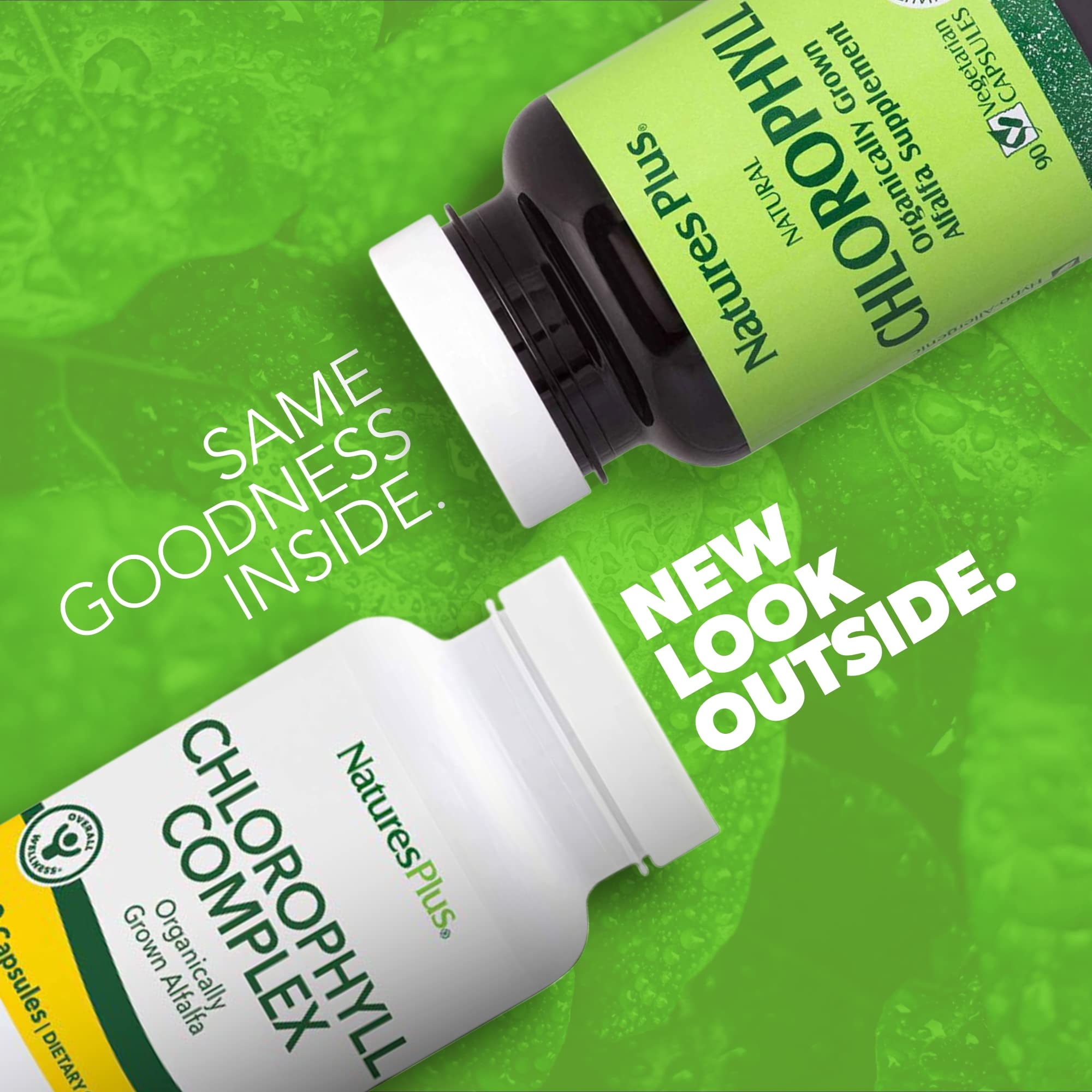 Natures Plus Chlorophyll Complex - 90 Capsules, 600 mg Organic Alfalfa - Immune Support & Energy - Gluten Free