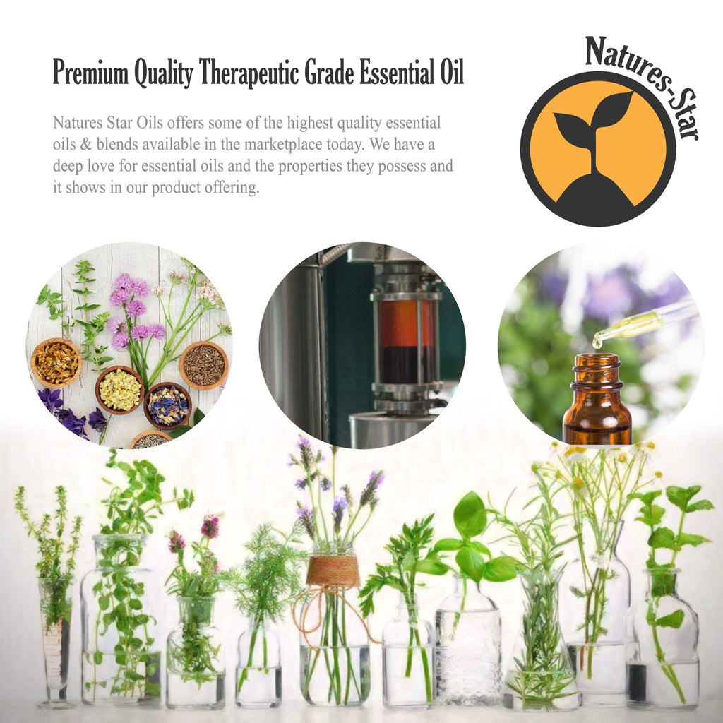 Natures-Star Tea Tree Essential Oil 16 Oz – Therapeutic Grade for Aromatherapy, Diffuser, Soap & Candle Making