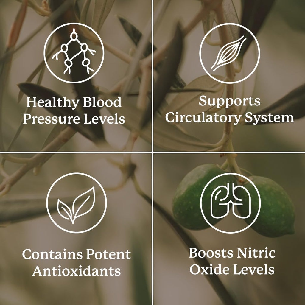 Nature's Sunshine Blood Pressurex 60 Capsules – Supports Normal Blood Pressure Range