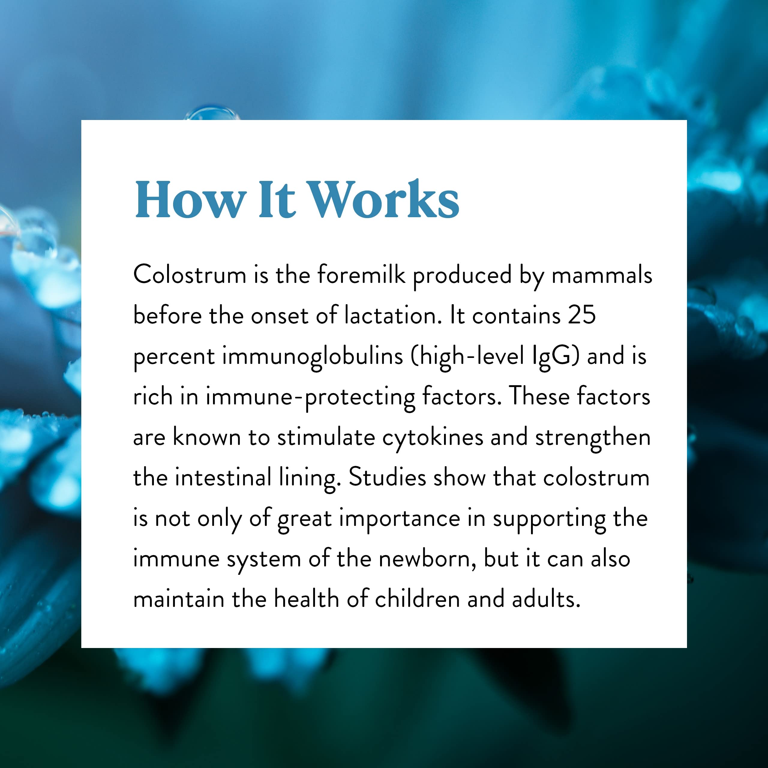 Nature's Sunshine Colostrum with Immune Factors - 60 Capsules | Immune & Gut Health