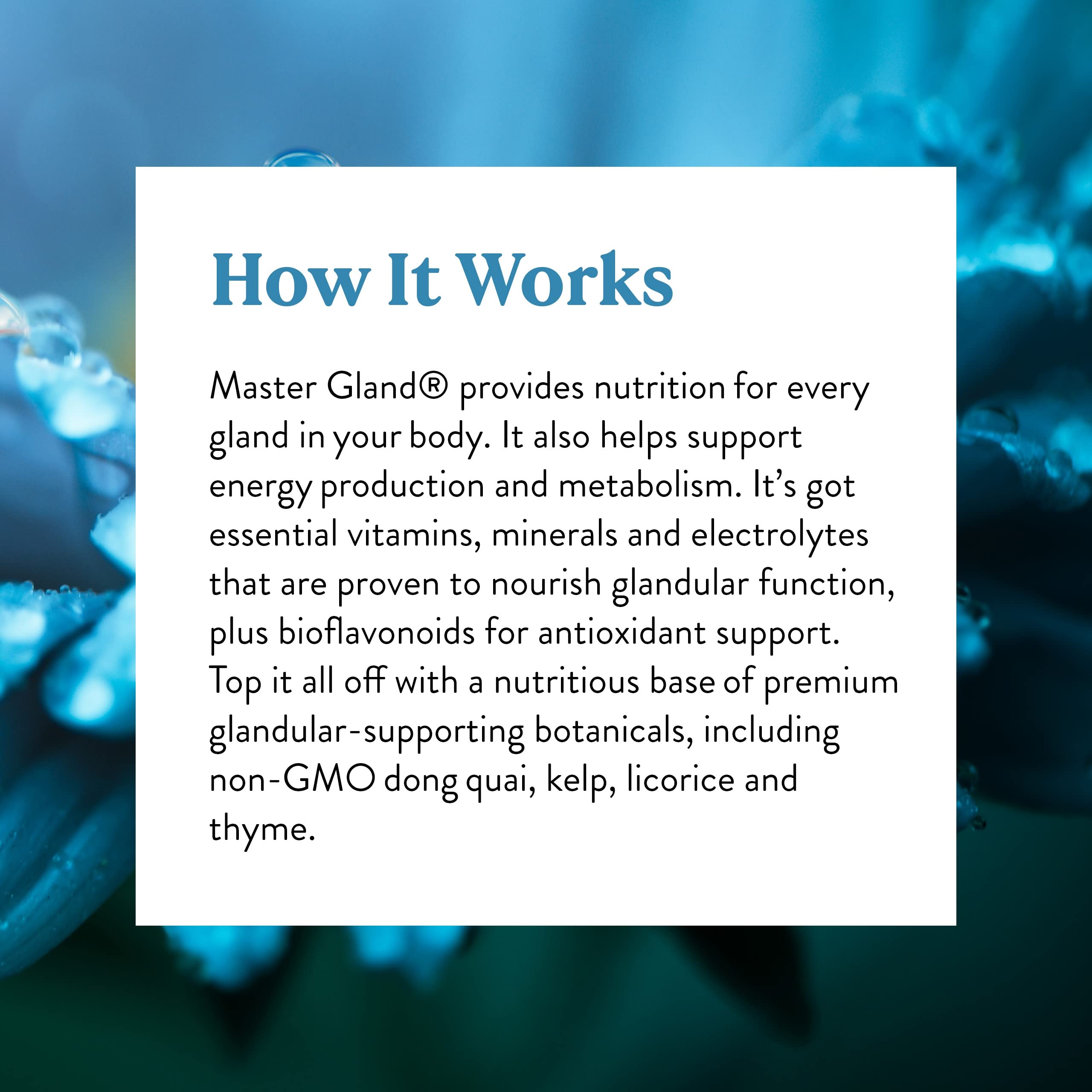 Nature's Sunshine Master Gland - 120 Capsules | Complete Nutritional Support for Every Gland & Energy Metabolism