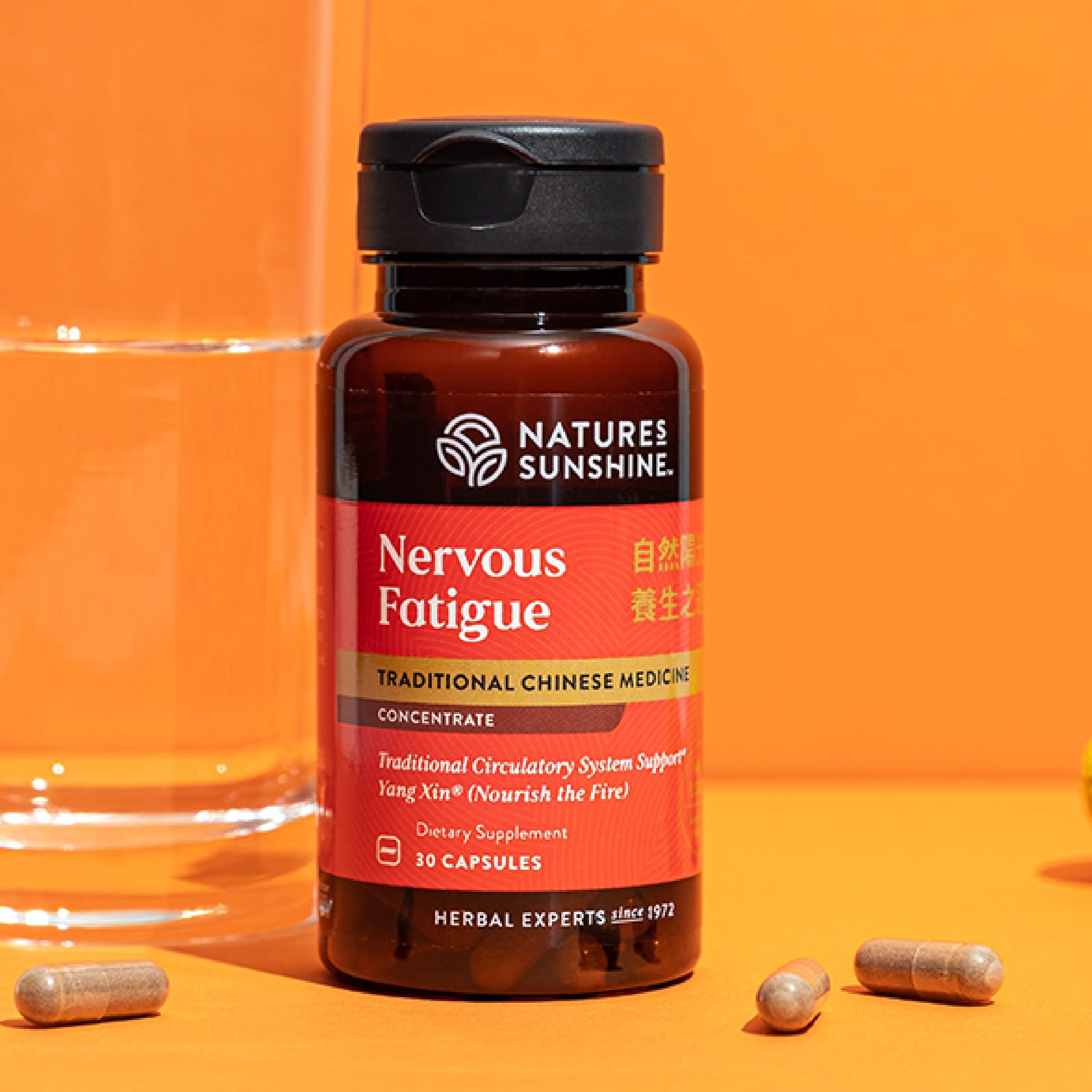 Nature's Sunshine Nervous Fatigue TCM Concentrate 30-Caps