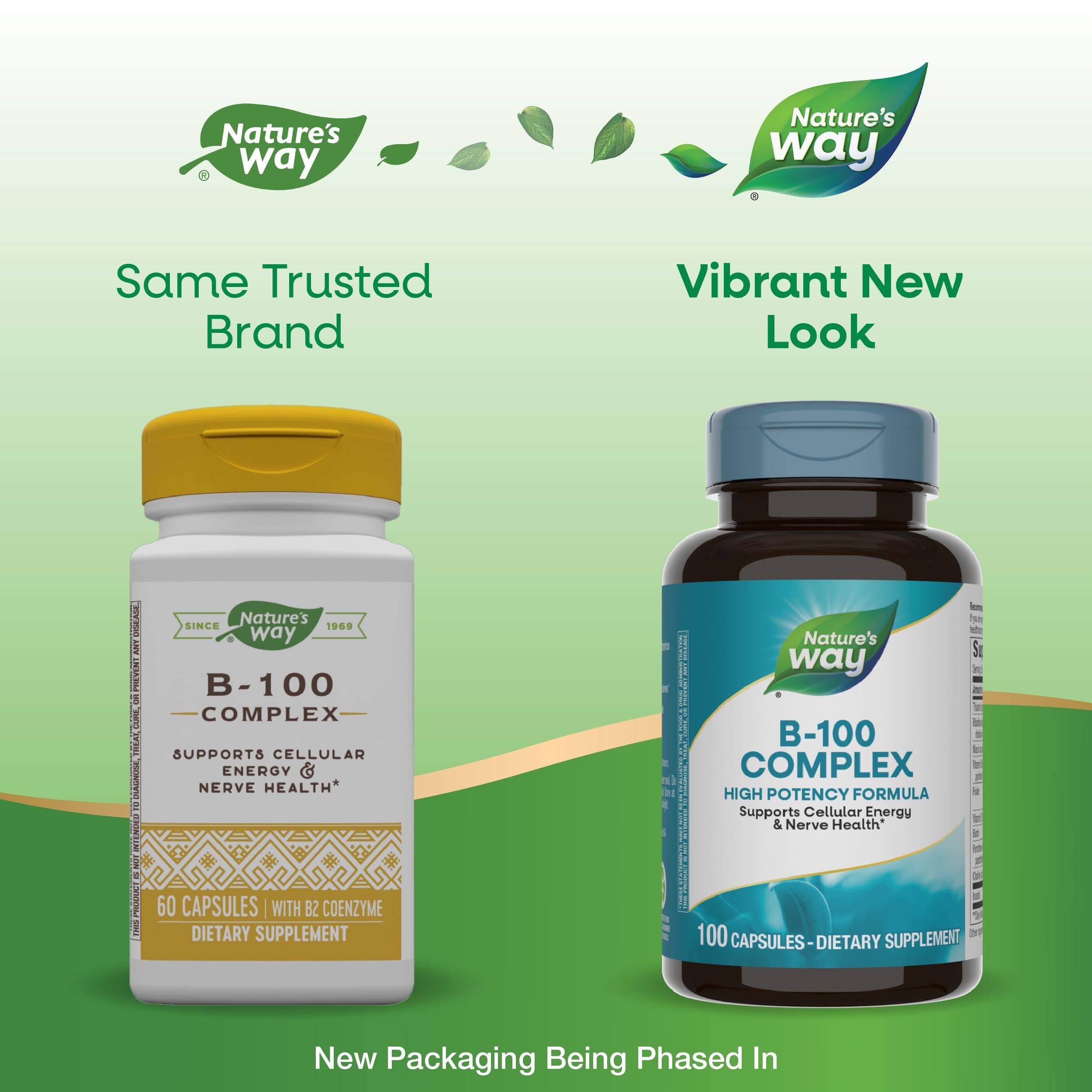 Nature's Way B-100 Complex | 8 B-Vitamins for Energy & Nerve Health