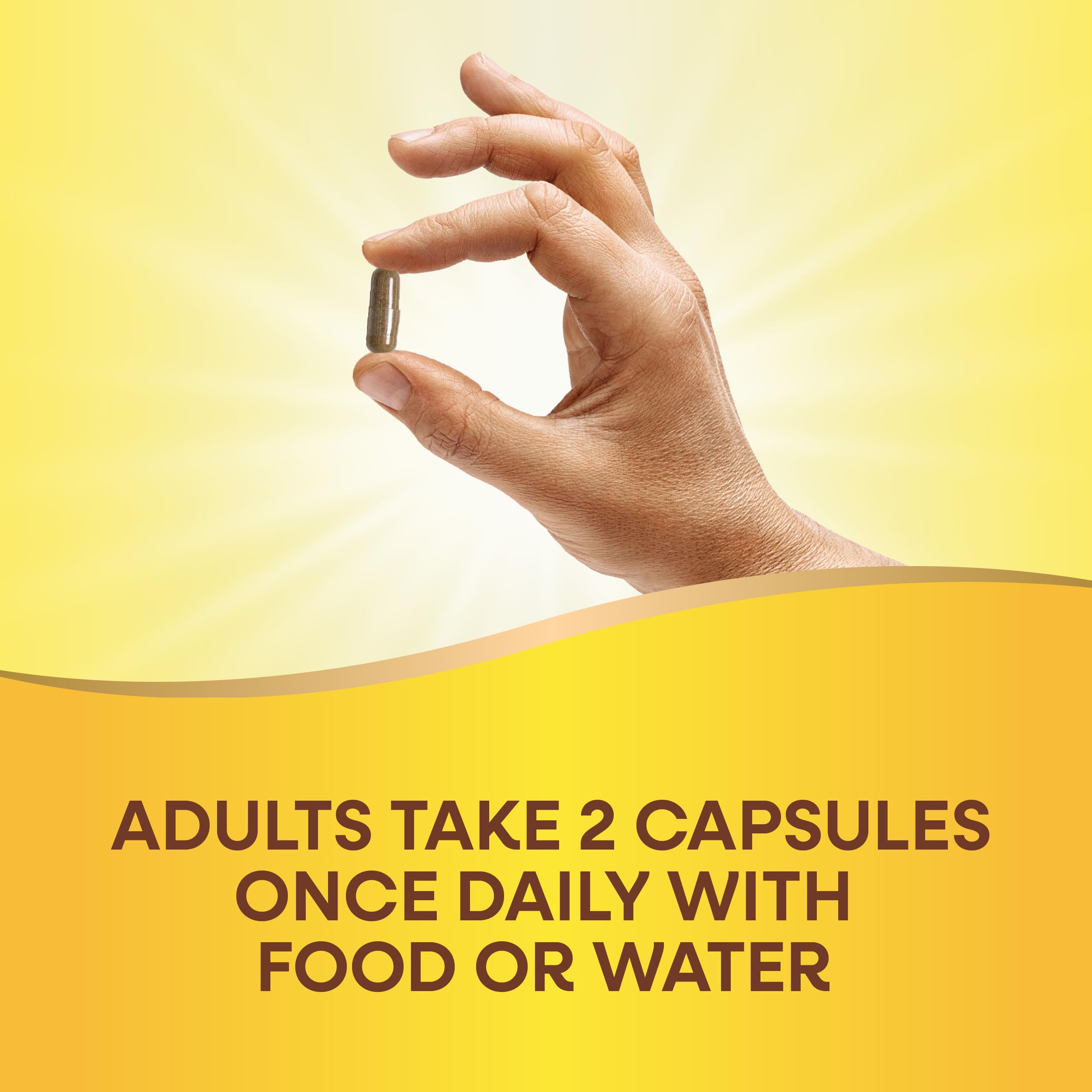 Nature's Way Premium Ginkgo Memory & Concentration – 120 Capsules