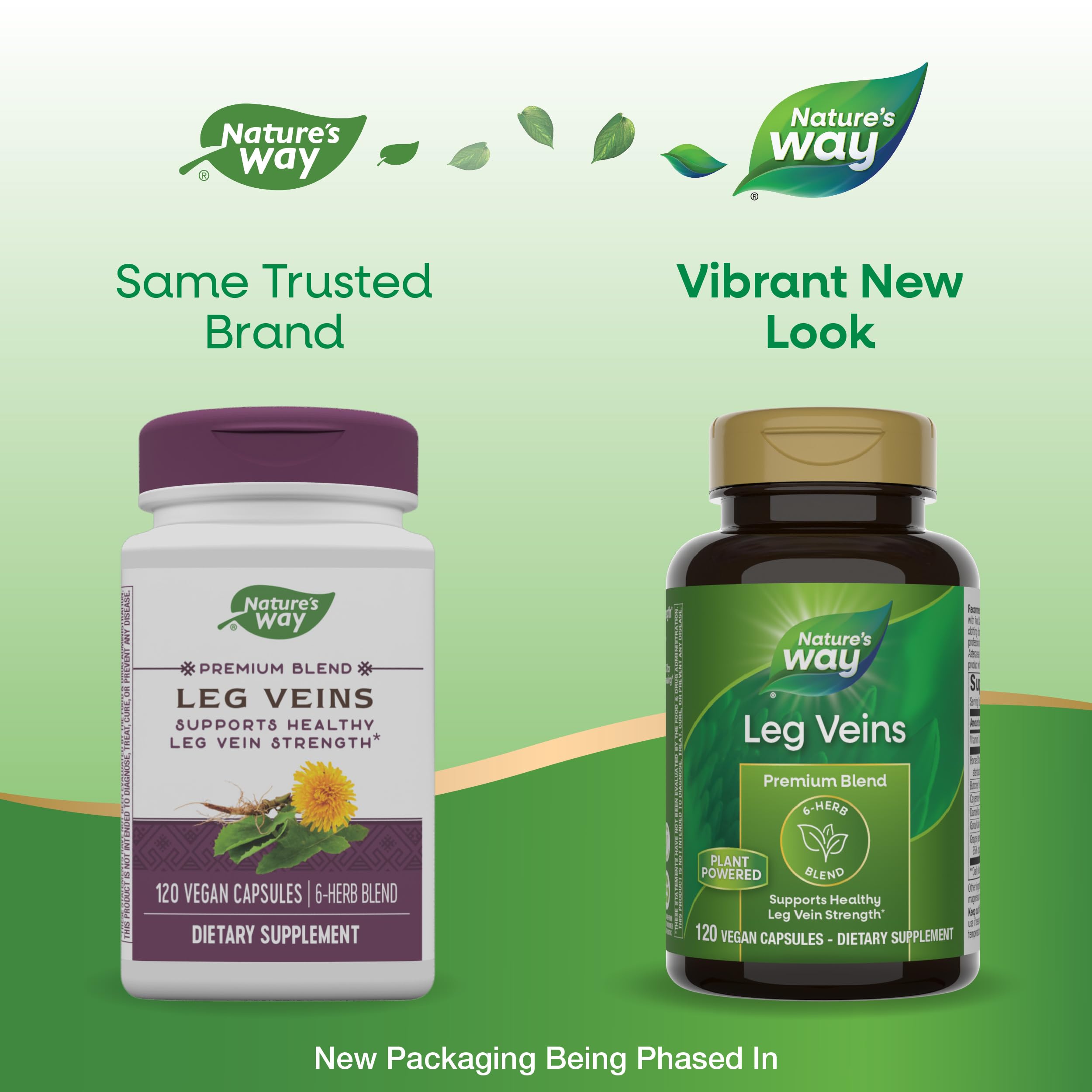 Nature's Way Leg Veins – 6-Herb Vegan Formula with Horse Chestnut, 120 Capsules (2-Pack)