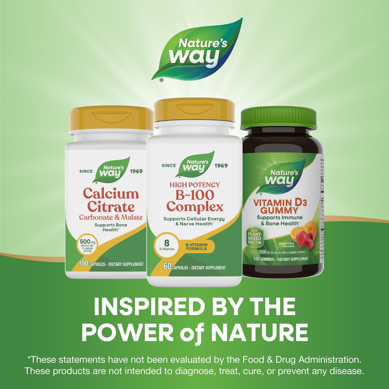 Nature's Way B-100 Complex — Supports Cellular Energy & Nerve Health, 8 B-Vitamins, 60 Capsules