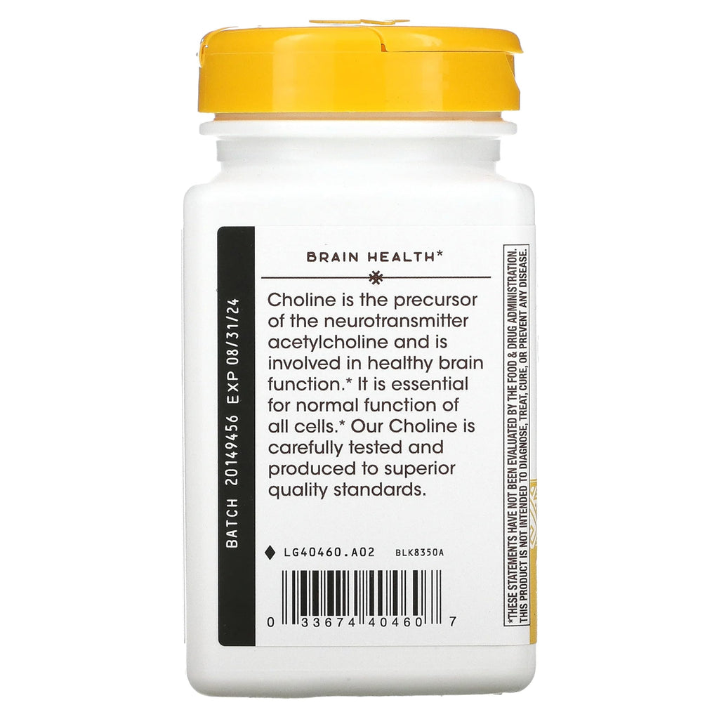Nature’s Way 500 mg Choline – 100 Count | Brain Support Supplement