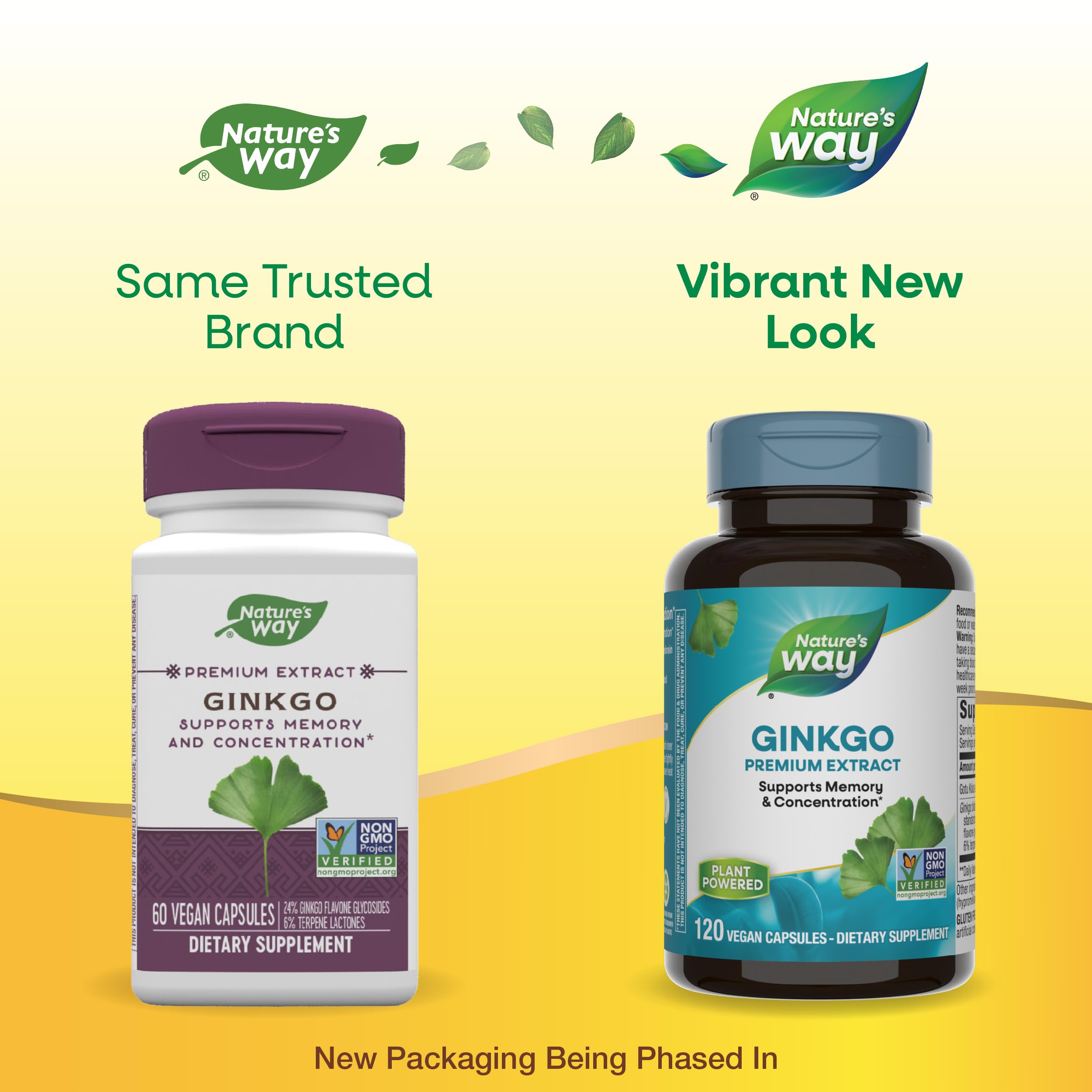 Nature's Way Ginkgo Premium Extract – Memory & Concentration, 120 Capsules