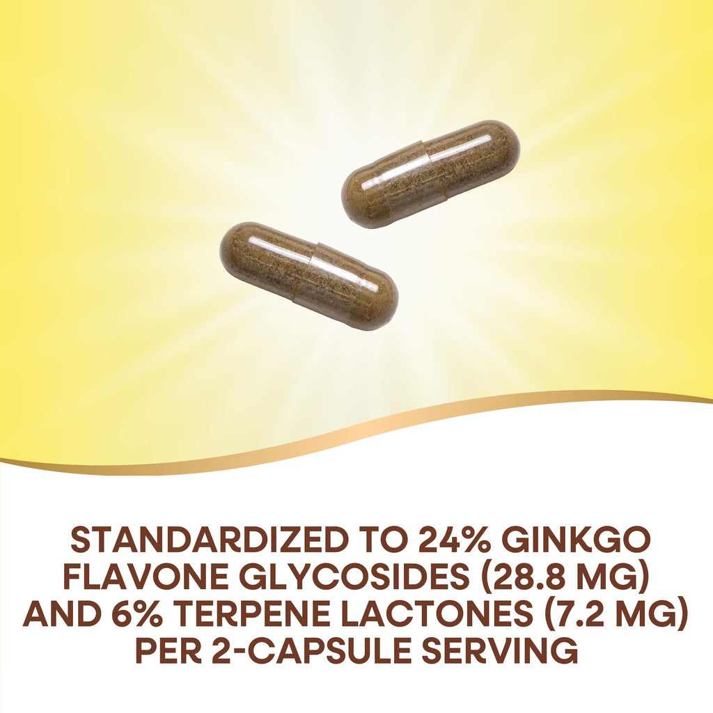 Nature's Way Ginkgo Premium Extract – Memory & Concentration, 120 Capsules