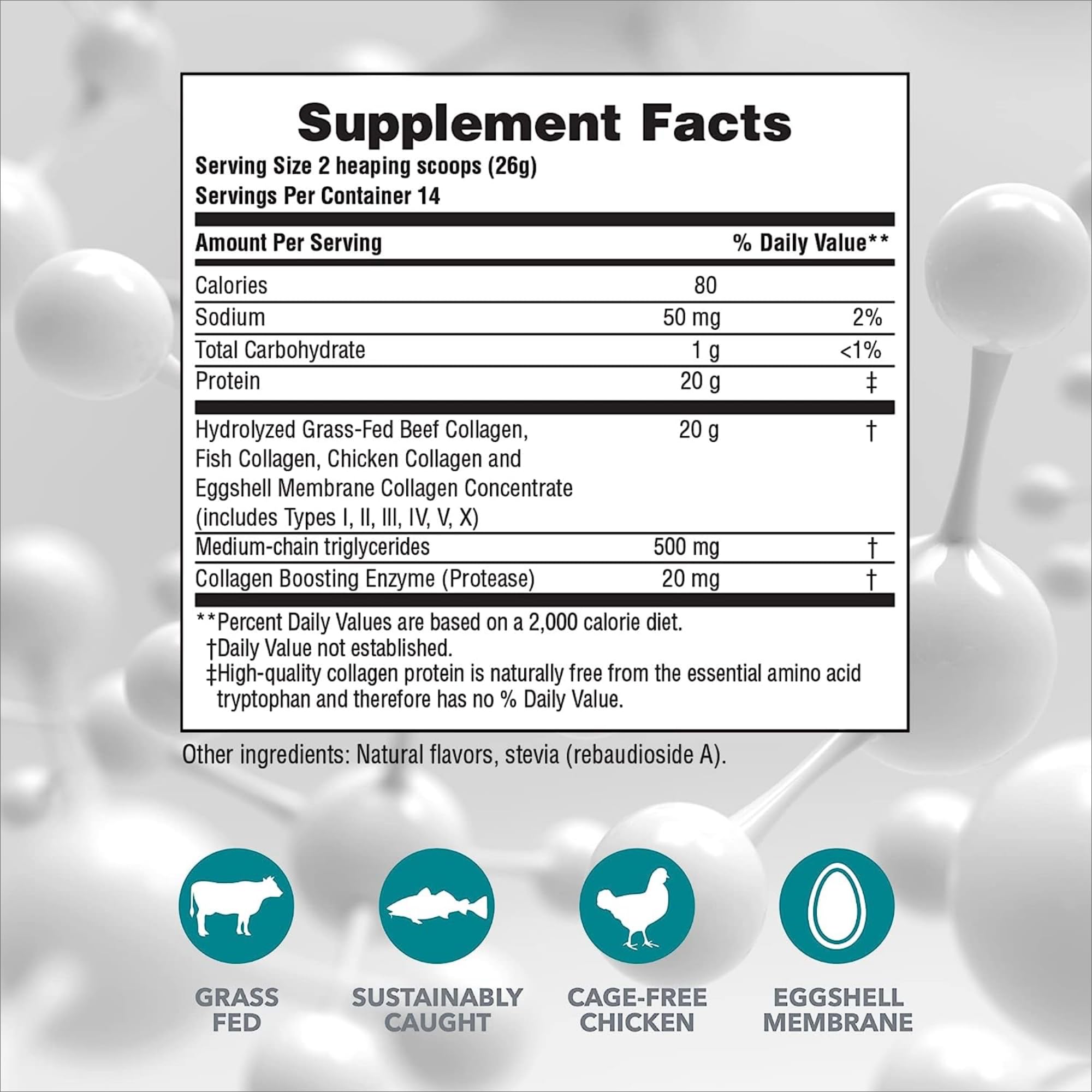 NaturesPlus Collagen Peptides Vanilla – 2 Pack (364 g) | Hair, Skin, Nails & Joints | Non-GMO, Gluten Free